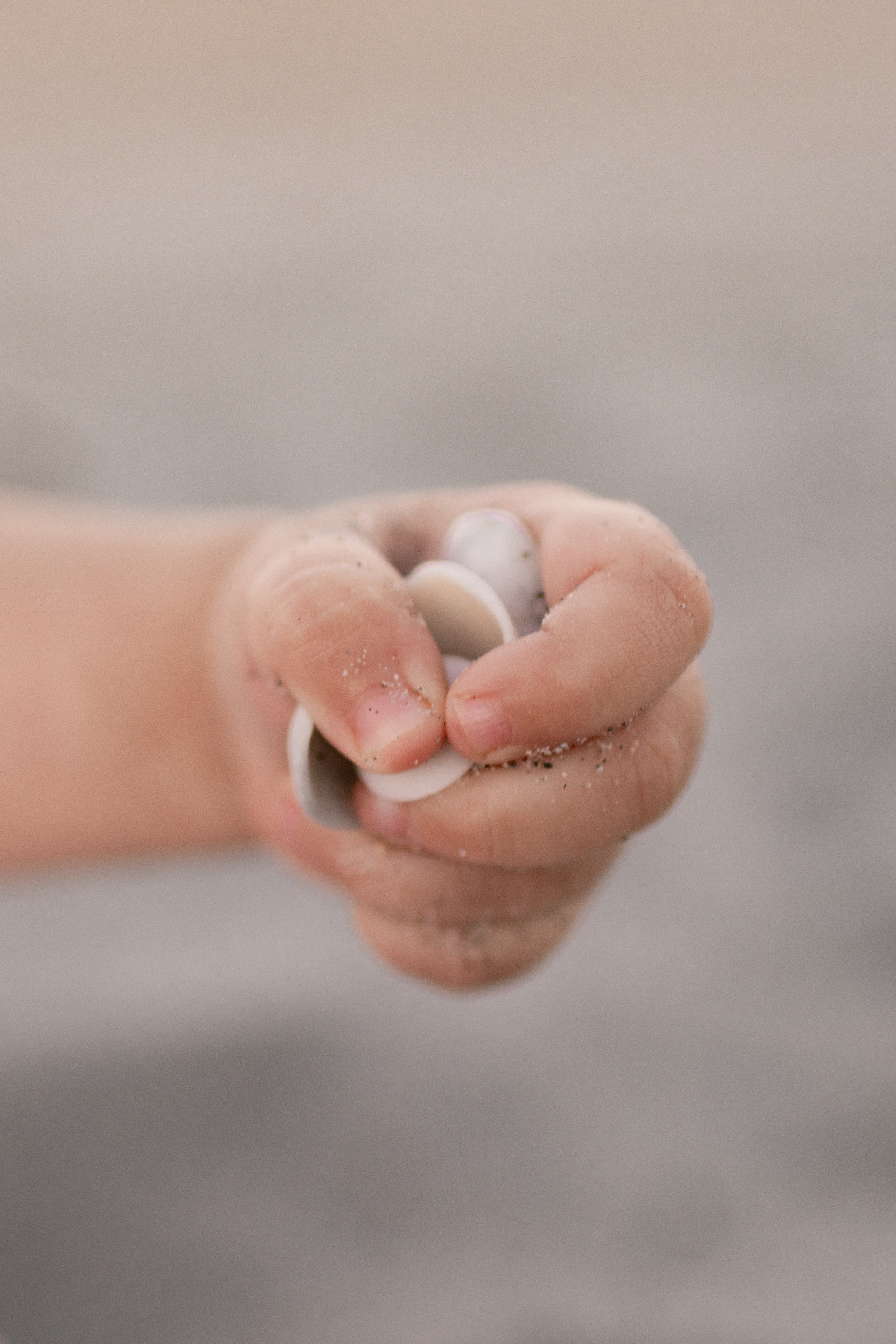 PORTFOLIO. Family Photographer | Delray Beach & Boca Raton | Anastasia Photography
