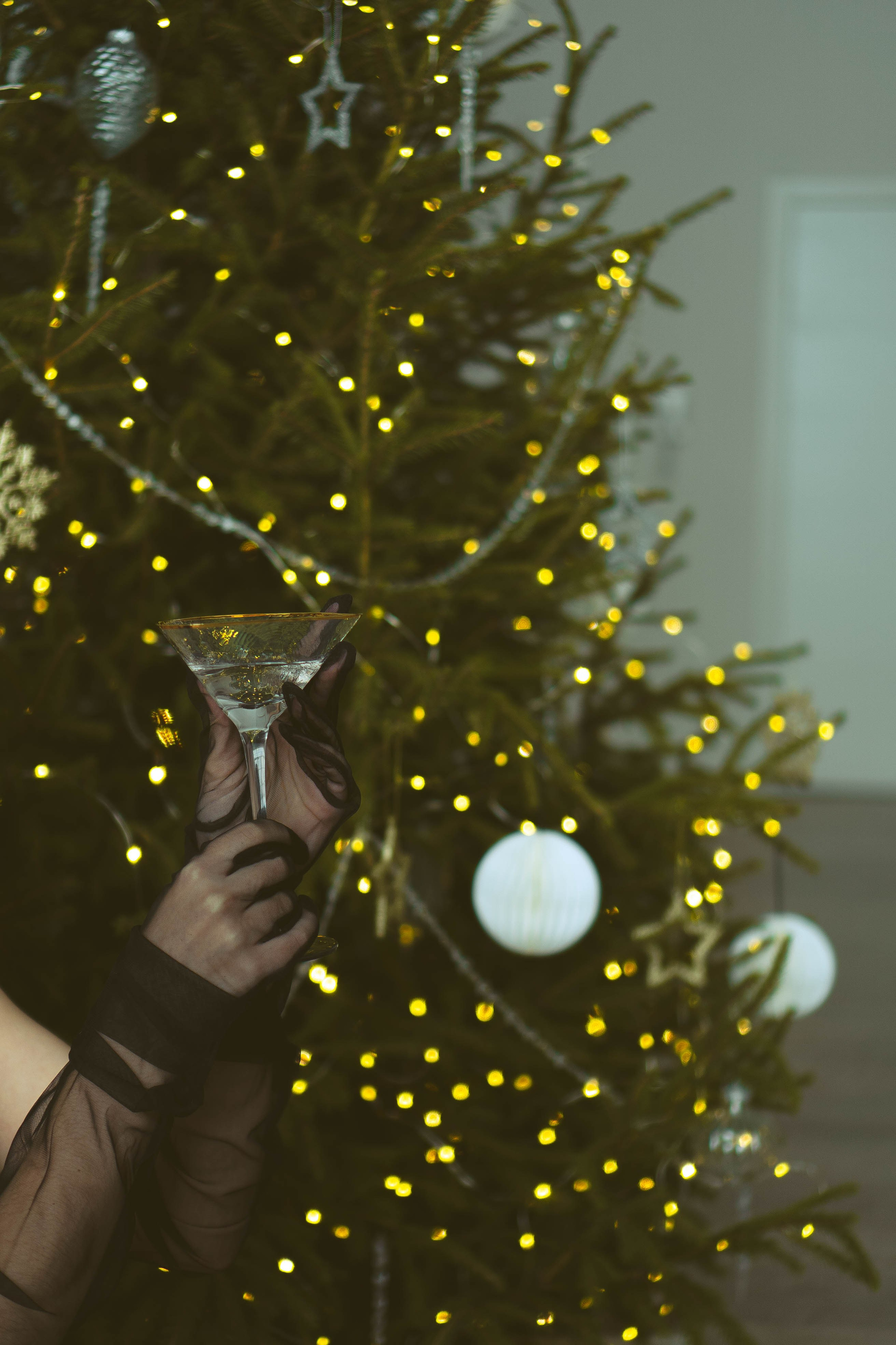 Новогодняя. Профессиональный фотограф, Санкт-Петербург — Виктория Богомолова