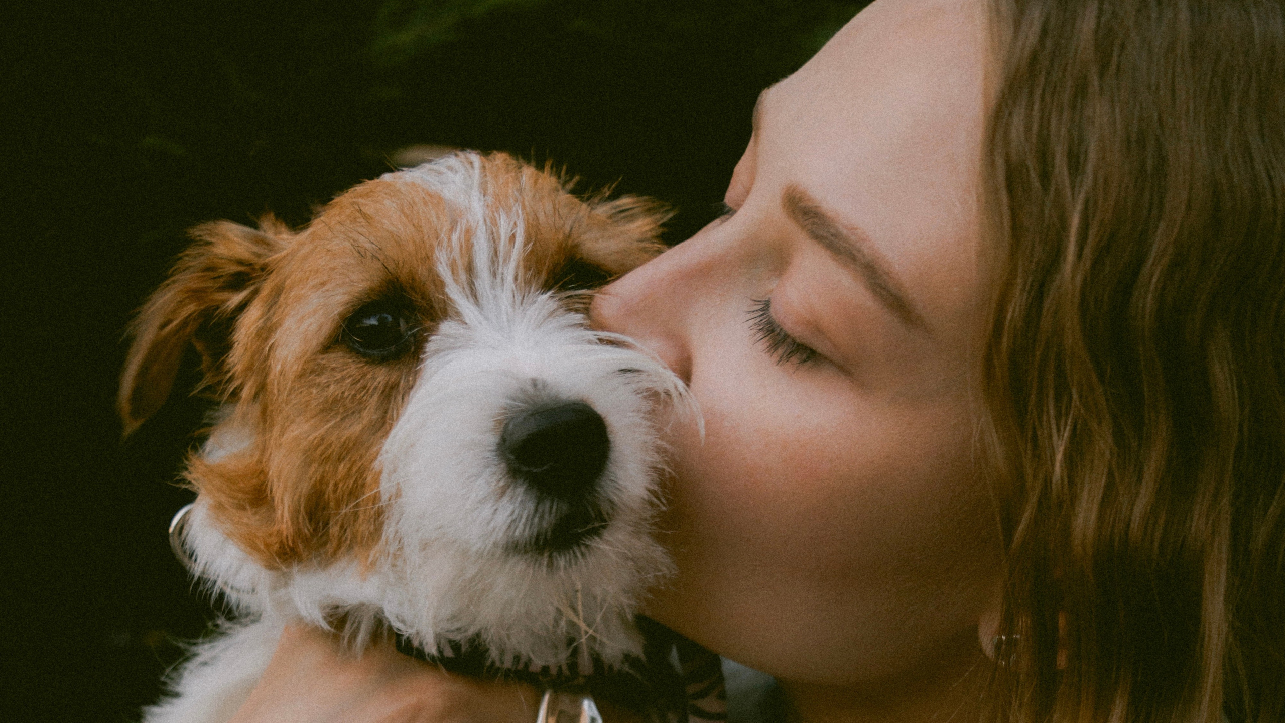 Фотосессия с собакой ко дню рождения. Таня и Ева. Портретный и лавстори фотограф в Стерлитамаке Альбина Шарт
