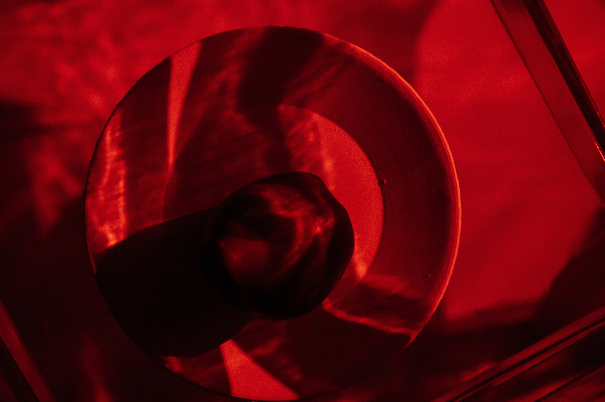 ПСИХОЛОГИЧЕСКИЙ ТЕАТР «СТЫД». Свадебный фотограф в Москве и по всему Миру Андрей Медведников