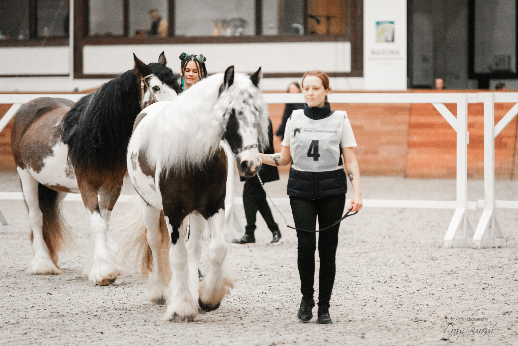 8-я международная выставка Конная Россия. Конный фотограф Куракина Дарья • Фотосессии с лошадьми
