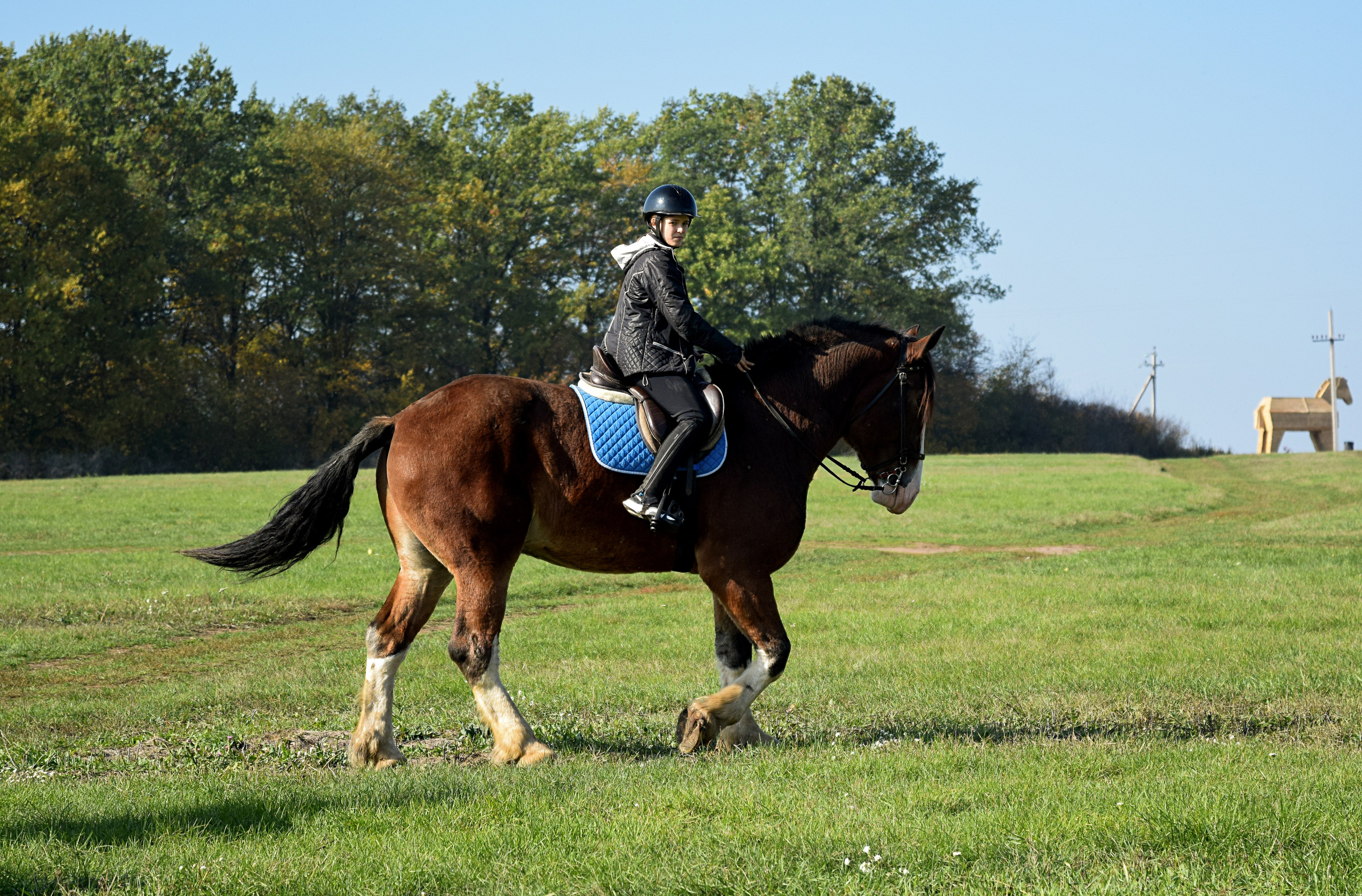 Кудыкина гора. Конный фотограф в Саратове Юлия Иванова