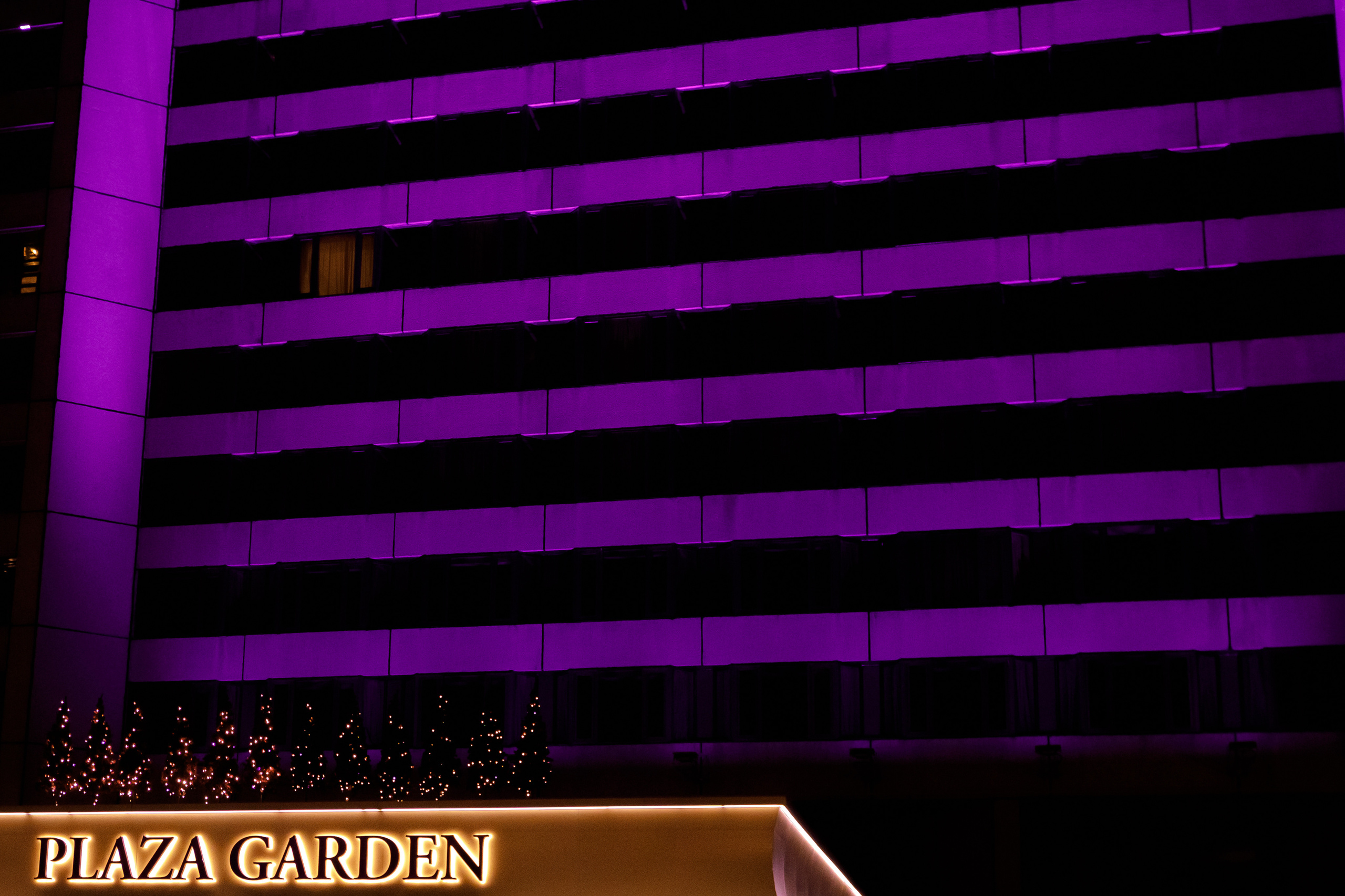 Корпоративное мероприятие ОНЛАНТА. Фотограф Евгений Меркулов