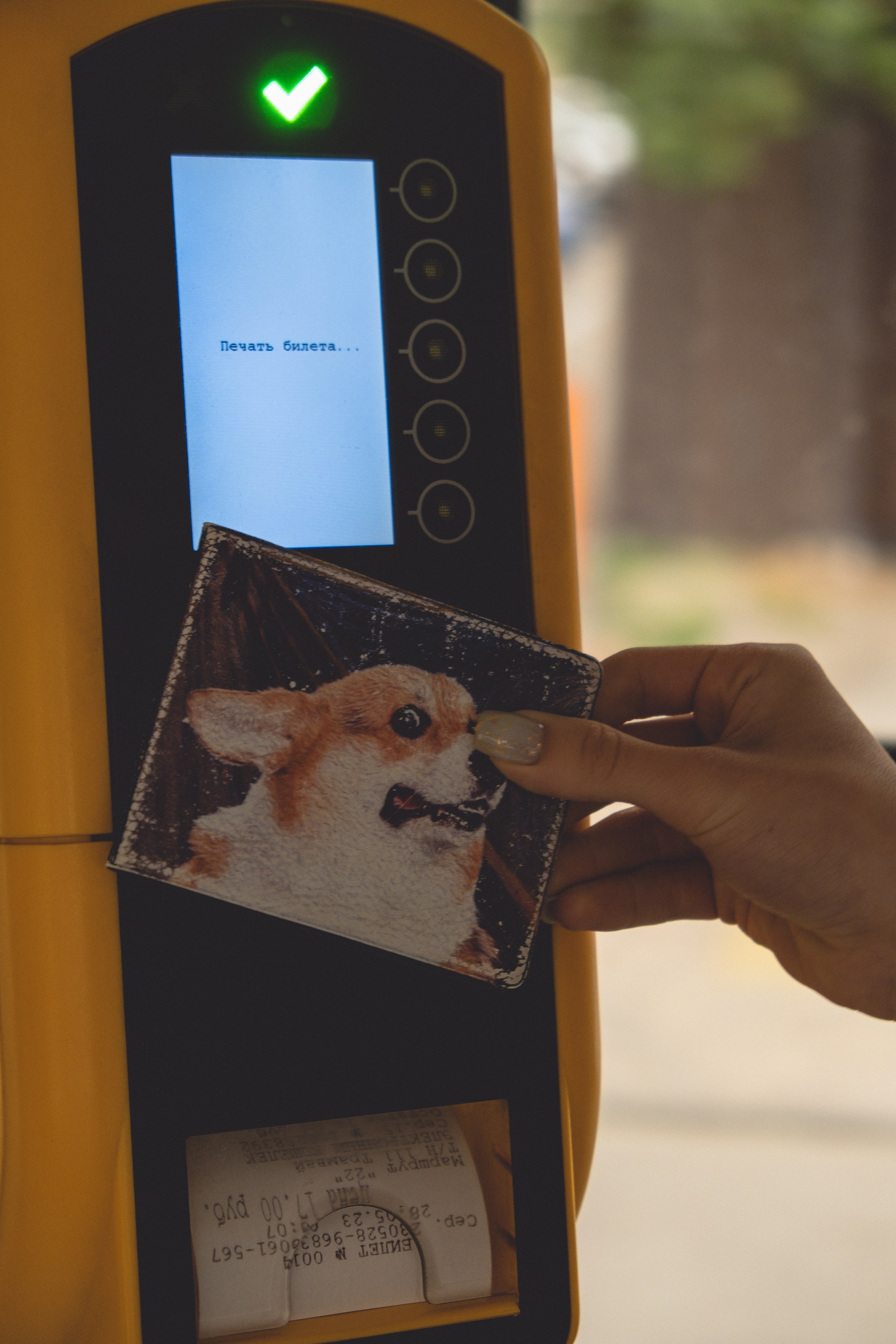 Карина. На трамвае по городу. Дмитрий Пропадалин, Нейрофотография