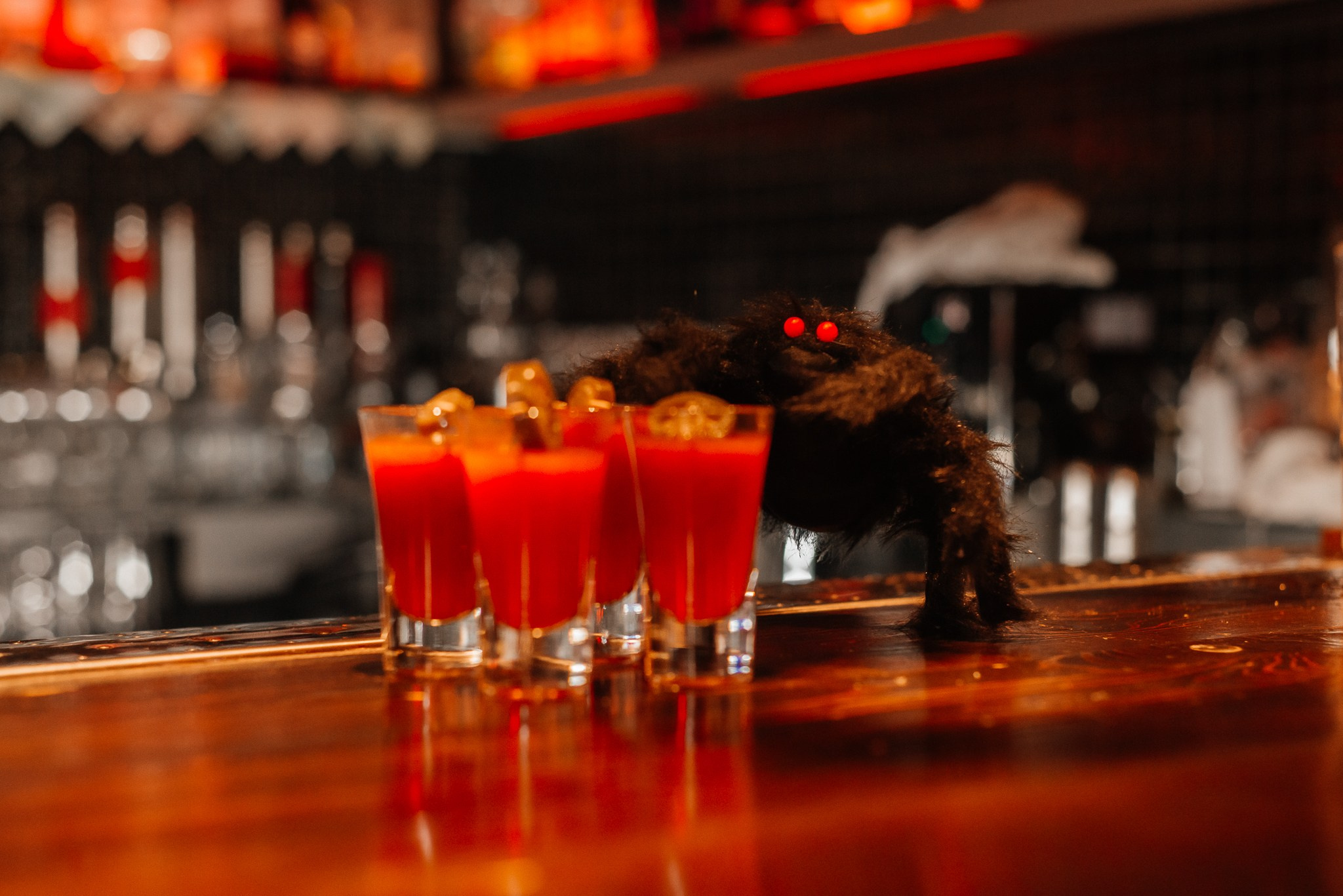 Halloween party в кальянной HookahPlace. Профессиональный пейзажный фотограф Новокрещенов Станислав