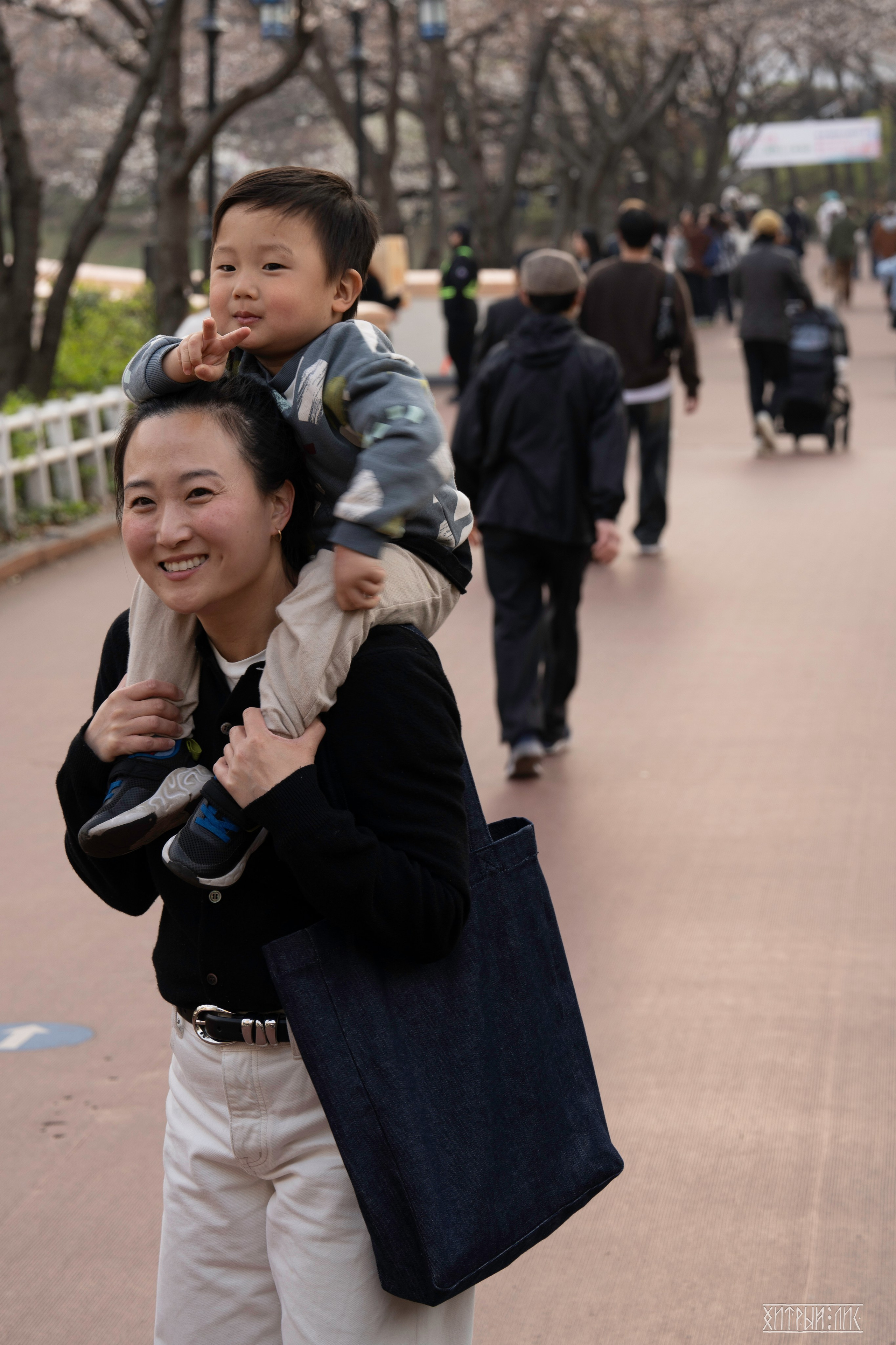 Южная Корея. Фотограф-путешественник Самойлов Максим «Sly Fox»