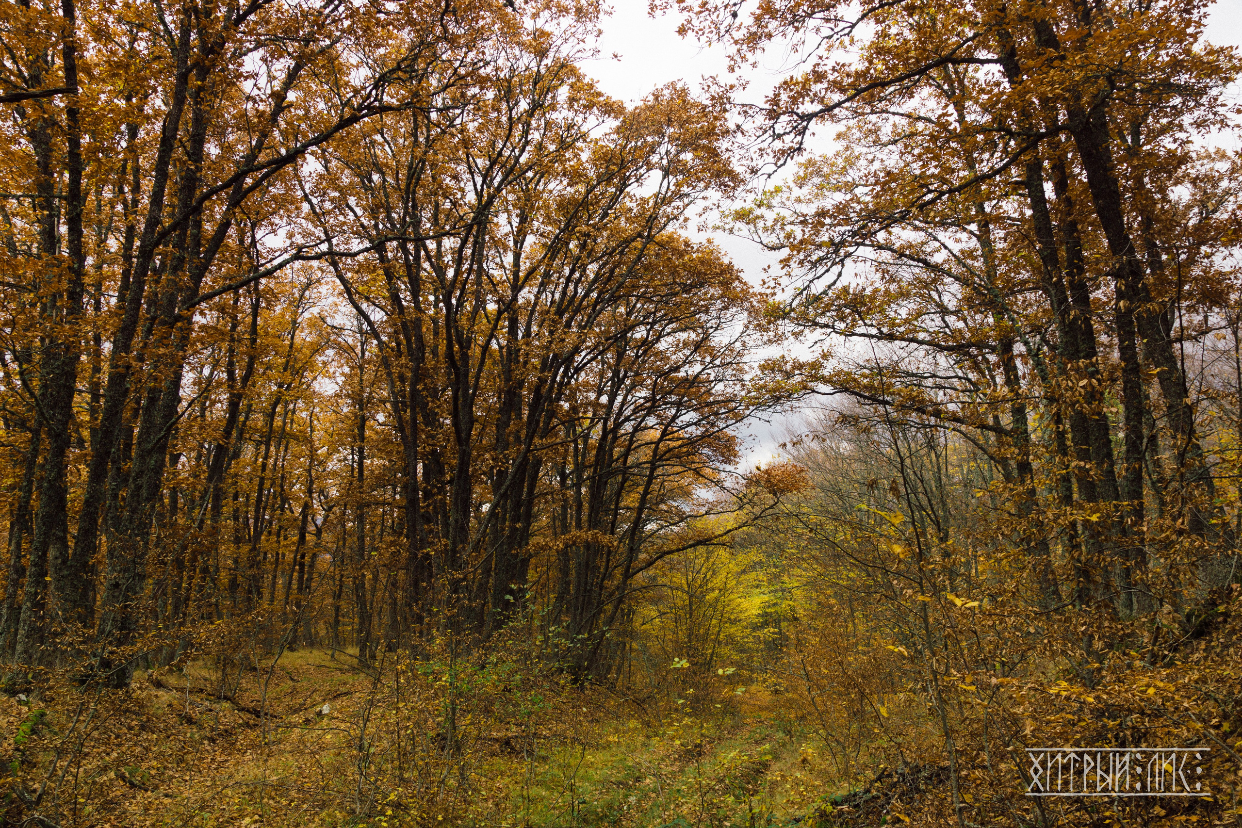 Крым. Фотограф-путешественник Самойлов Максим «Sly Fox»