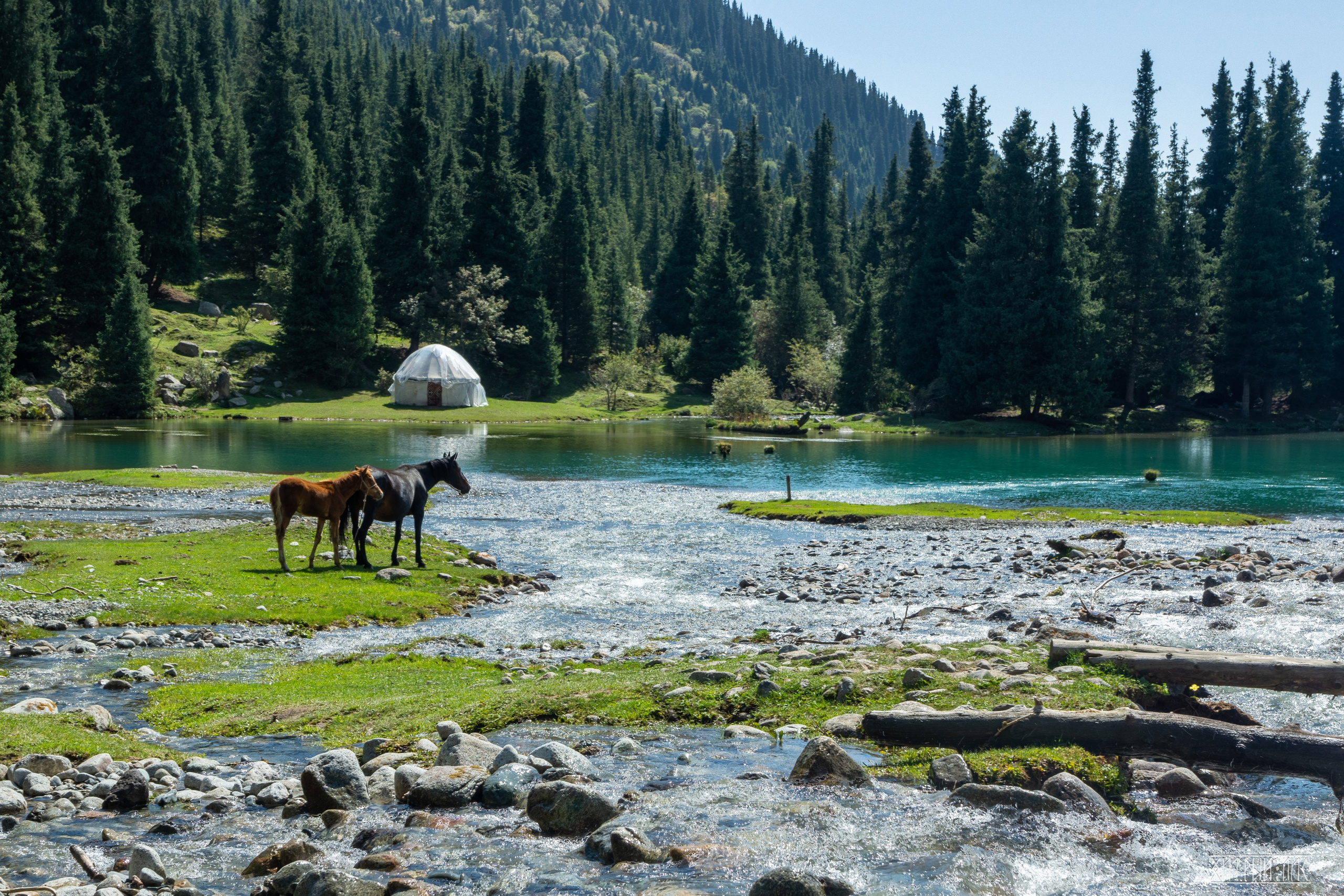 Киргизия. Фотограф-путешественник Самойлов Максим «Sly Fox»