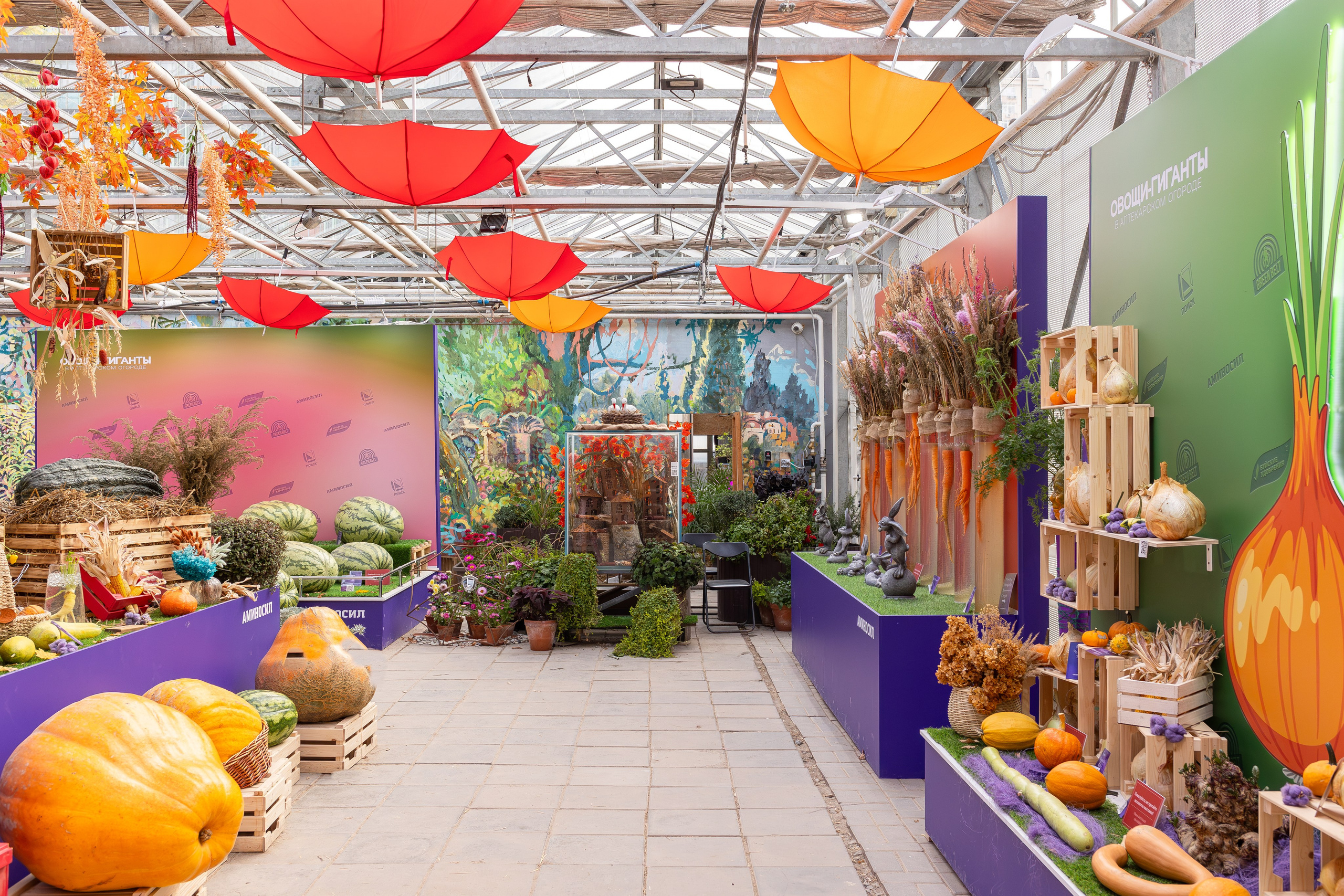 Овощи-гиганты. Александра Куликова фотограф, Москва