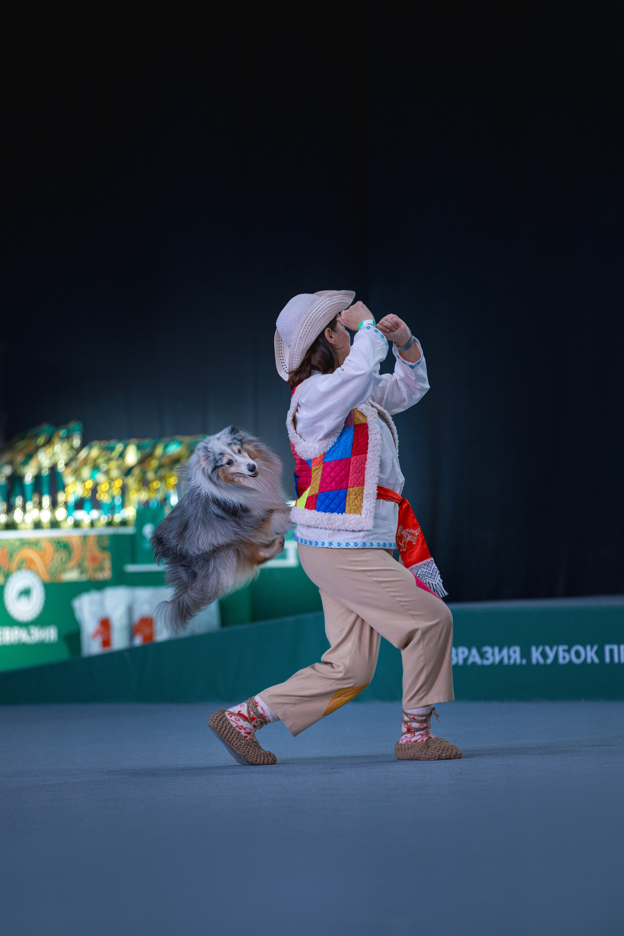 Выставки. Фотограф анималист в Москве Майорова Евгения