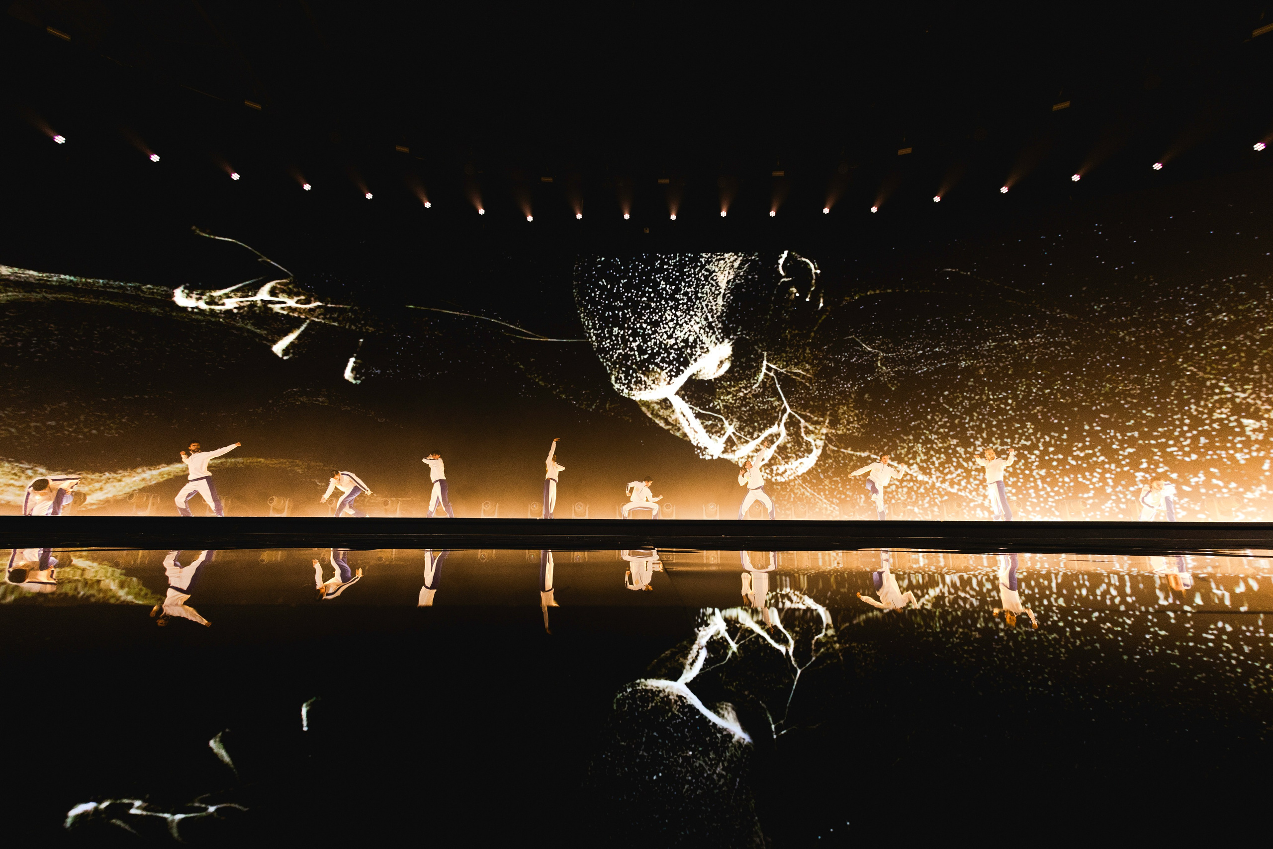 ASIRE ACADEMY / 2024. OOPS