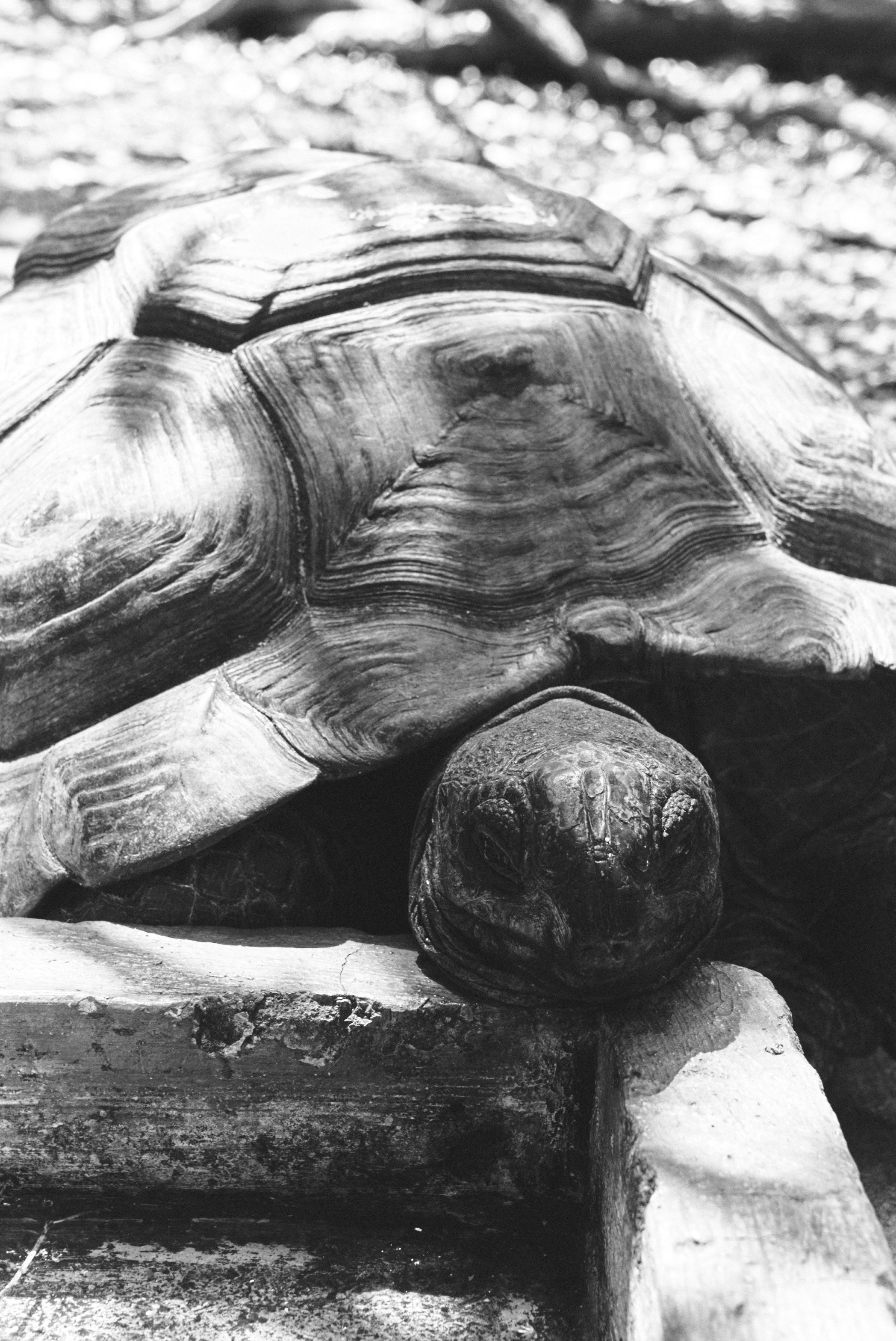 U Magazine x Выездная редакция. Фотограф Сурков Никита