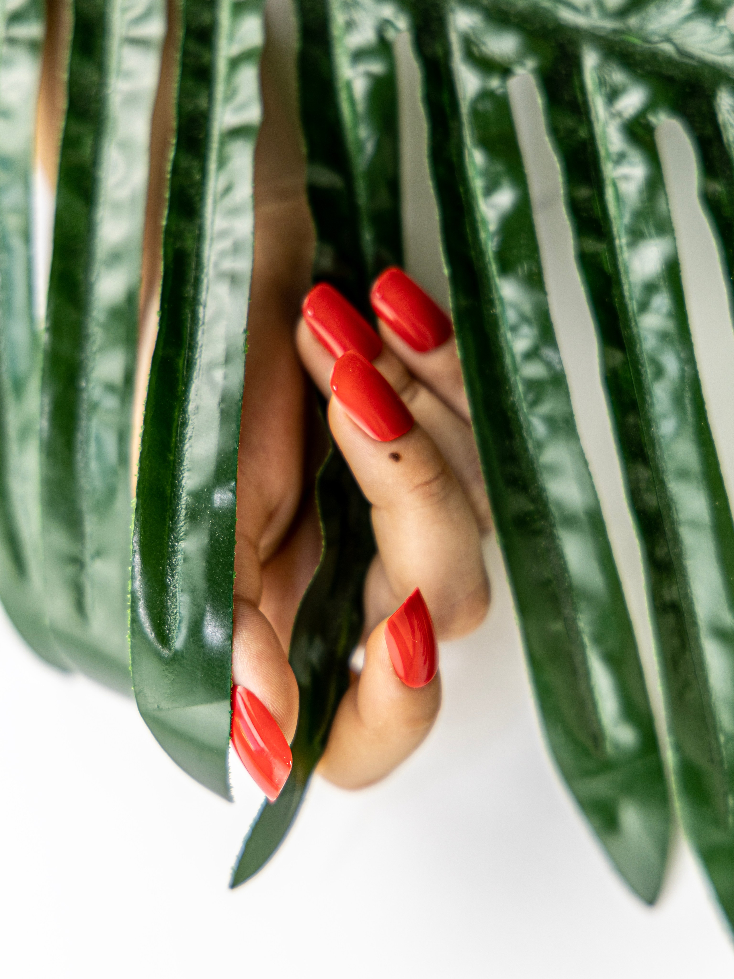 Фотограф Татьяна Марсуверских г. Жуковский, Москва и М о. Репортажные съёмки, фотосессии, съёмки для маркетплейс,накладные ногти и маникюр. Фотограф для маркетплейсов, фотоуслуги в Жуковском Татьяна Марсуверских