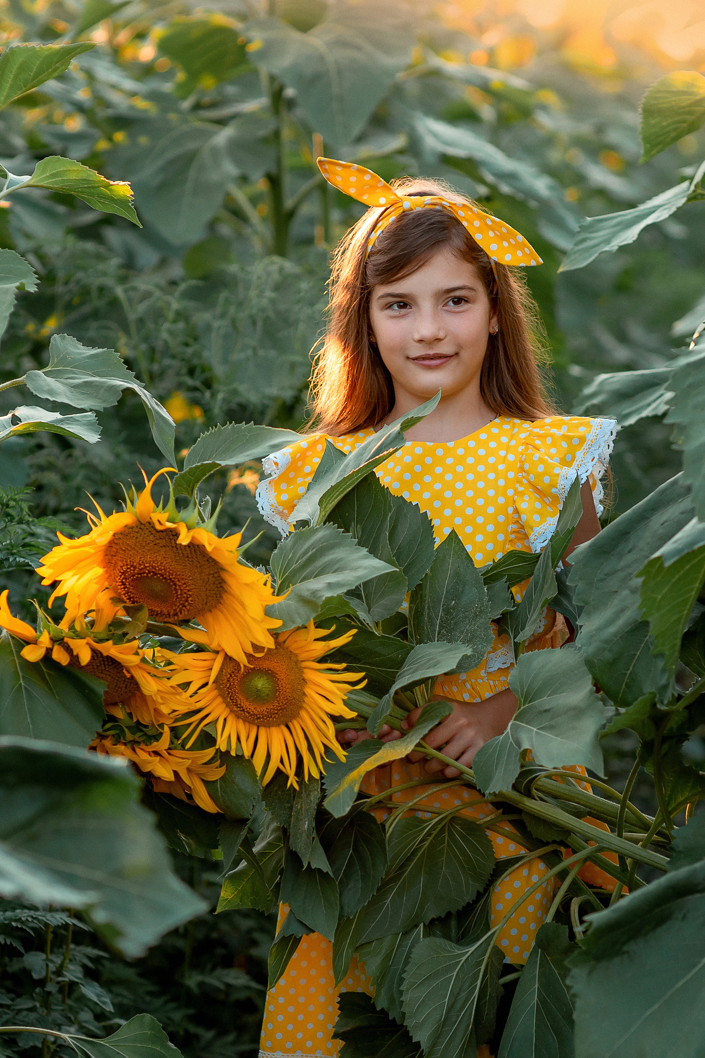 Семейная съемка в подсолнухах. Семейный и детский фотограф Наталья Горда