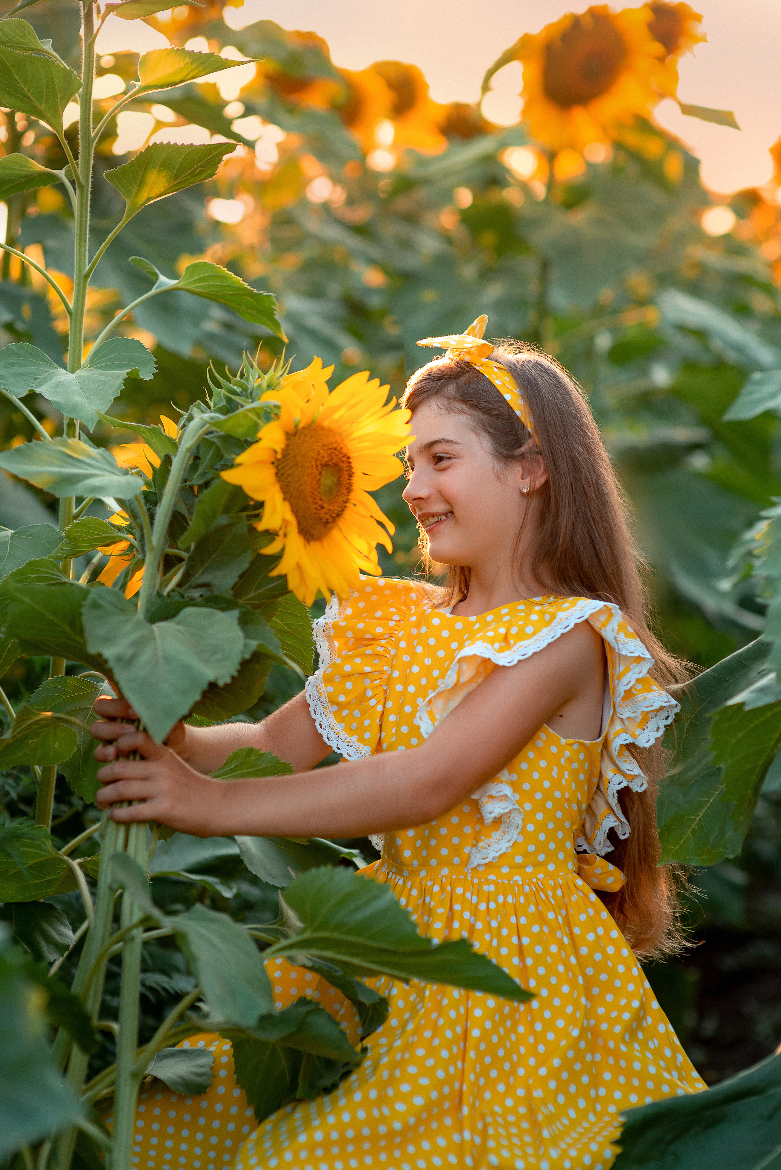 Семейная съемка в подсолнухах. Семейный и детский фотограф Наталья Горда