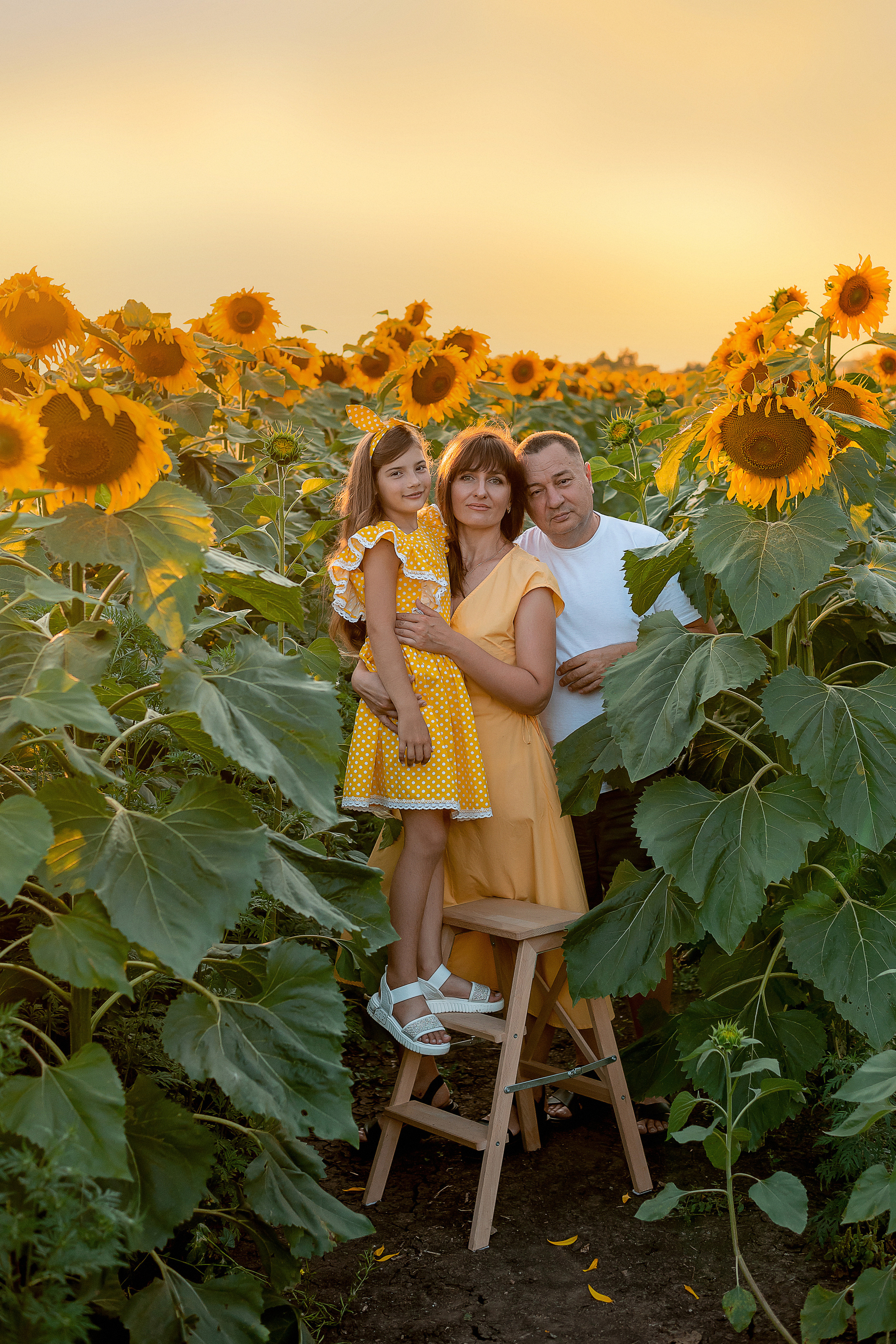 Семейная съемка в подсолнухах. Семейный и детский фотограф Наталья Горда