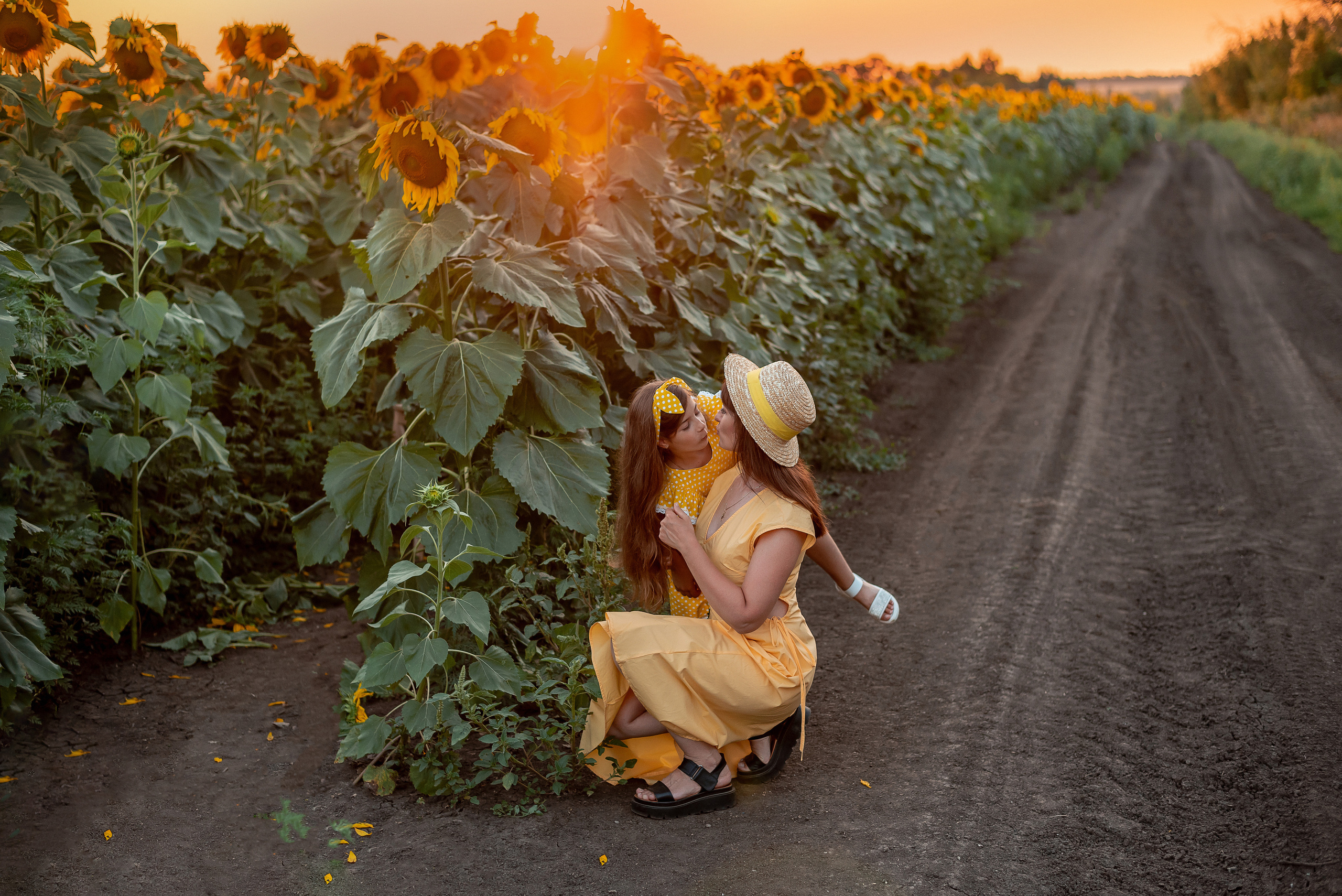 Семейная съемка в подсолнухах. Семейный и детский фотограф Наталья Горда