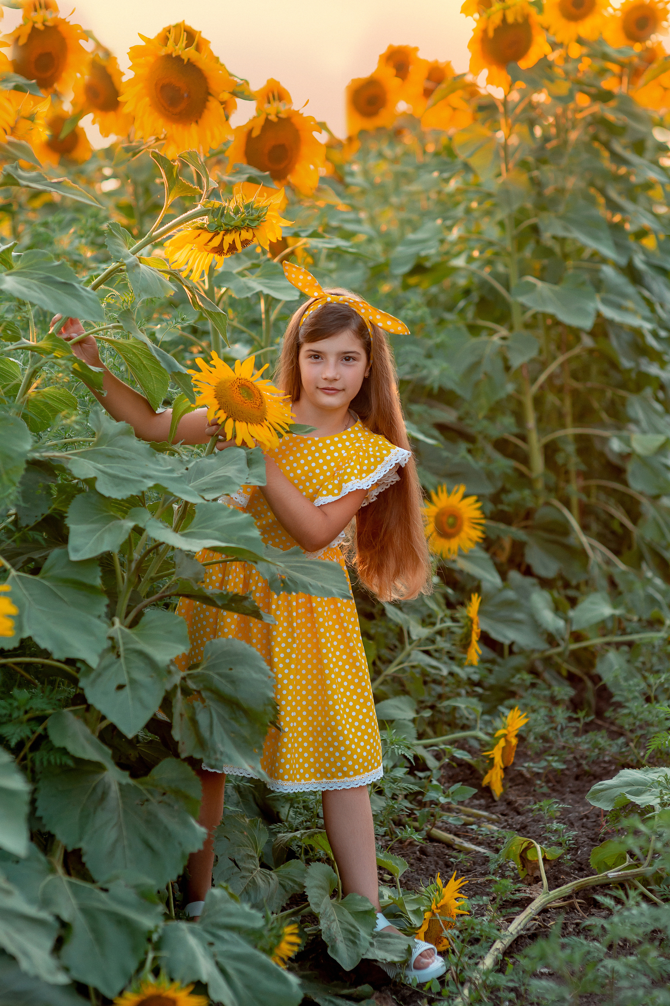 Семейная съемка в подсолнухах. Семейный и детский фотограф Наталья Горда