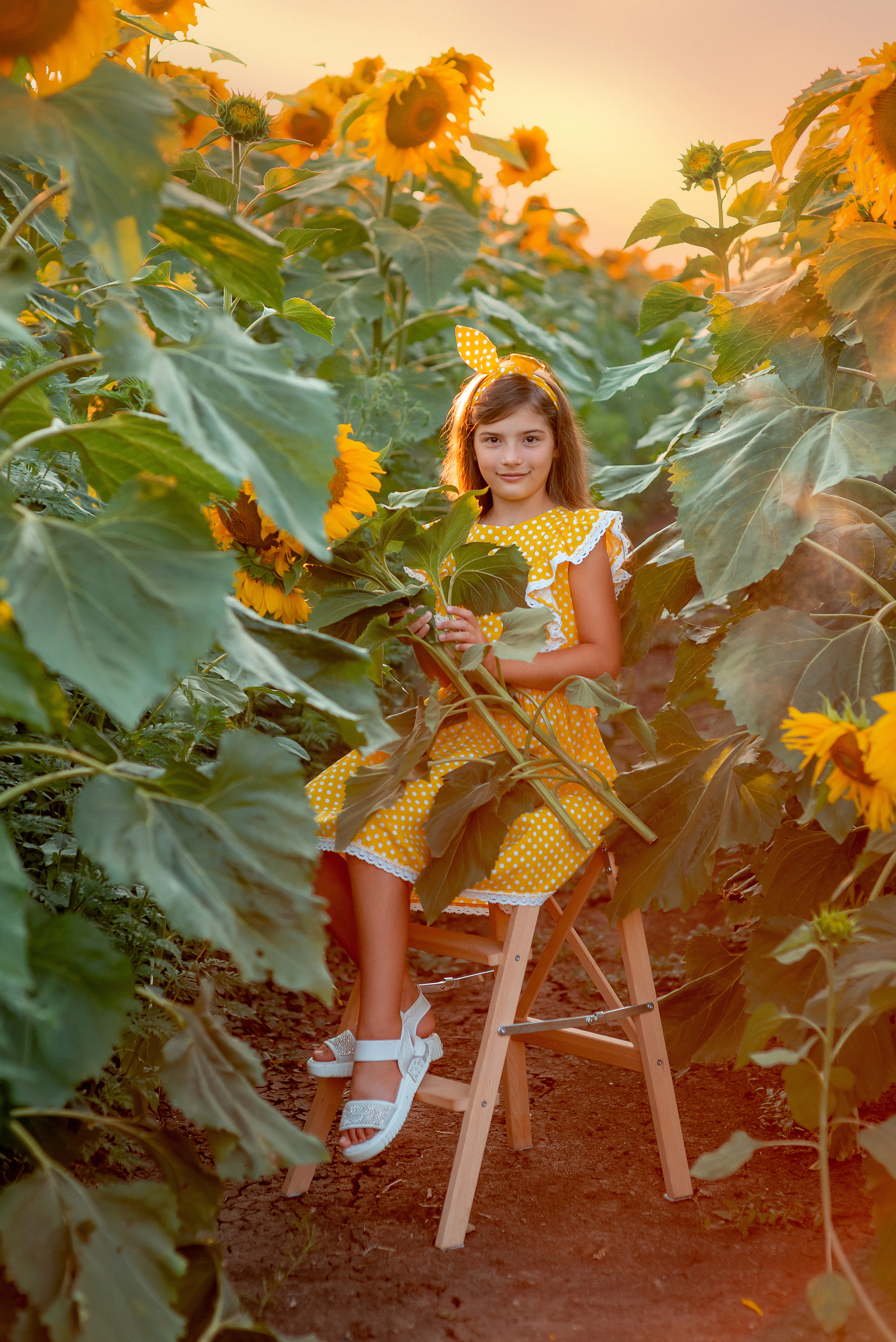 Семейная съемка в подсолнухах. Семейный и детский фотограф Наталья Горда