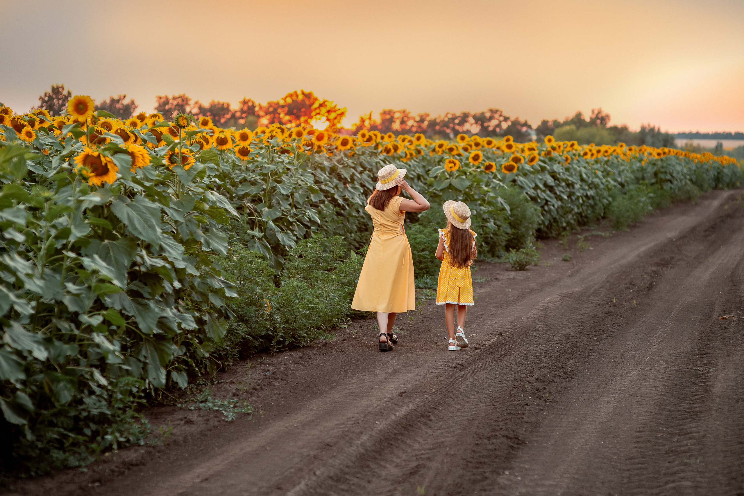 Семейная съемка в подсолнухах. Семейный и детский фотограф Наталья Горда