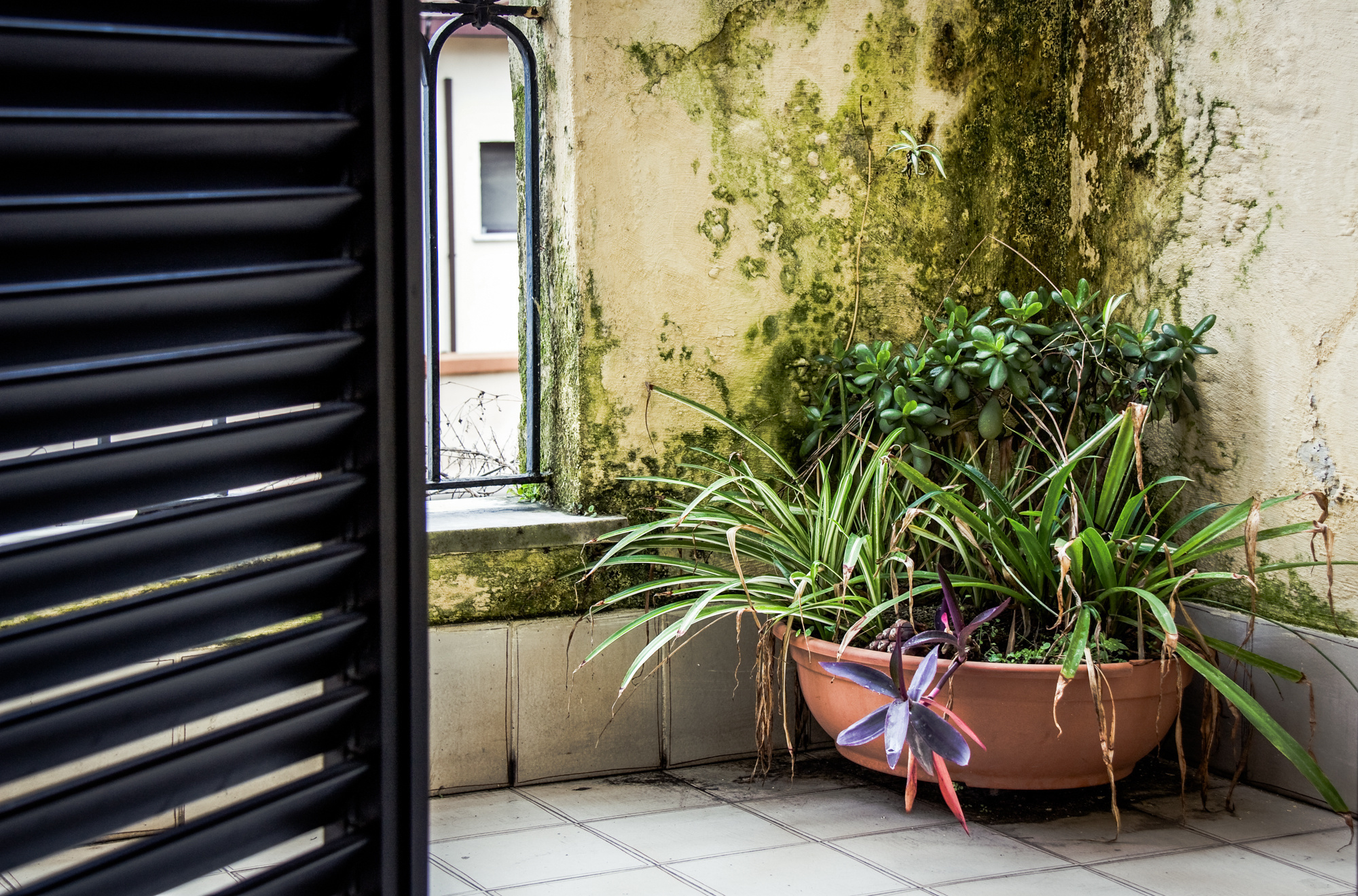 TRAVEL. Профессиональная рекламная фотосъемка