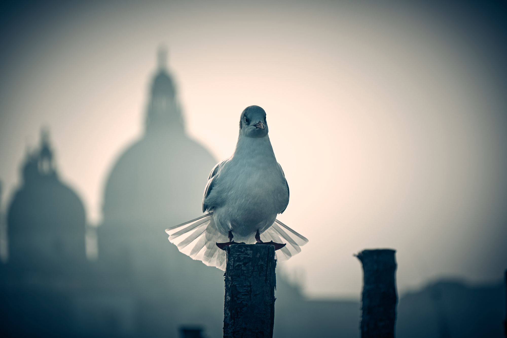 TRAVEL. Профессиональная рекламная фотосъемка