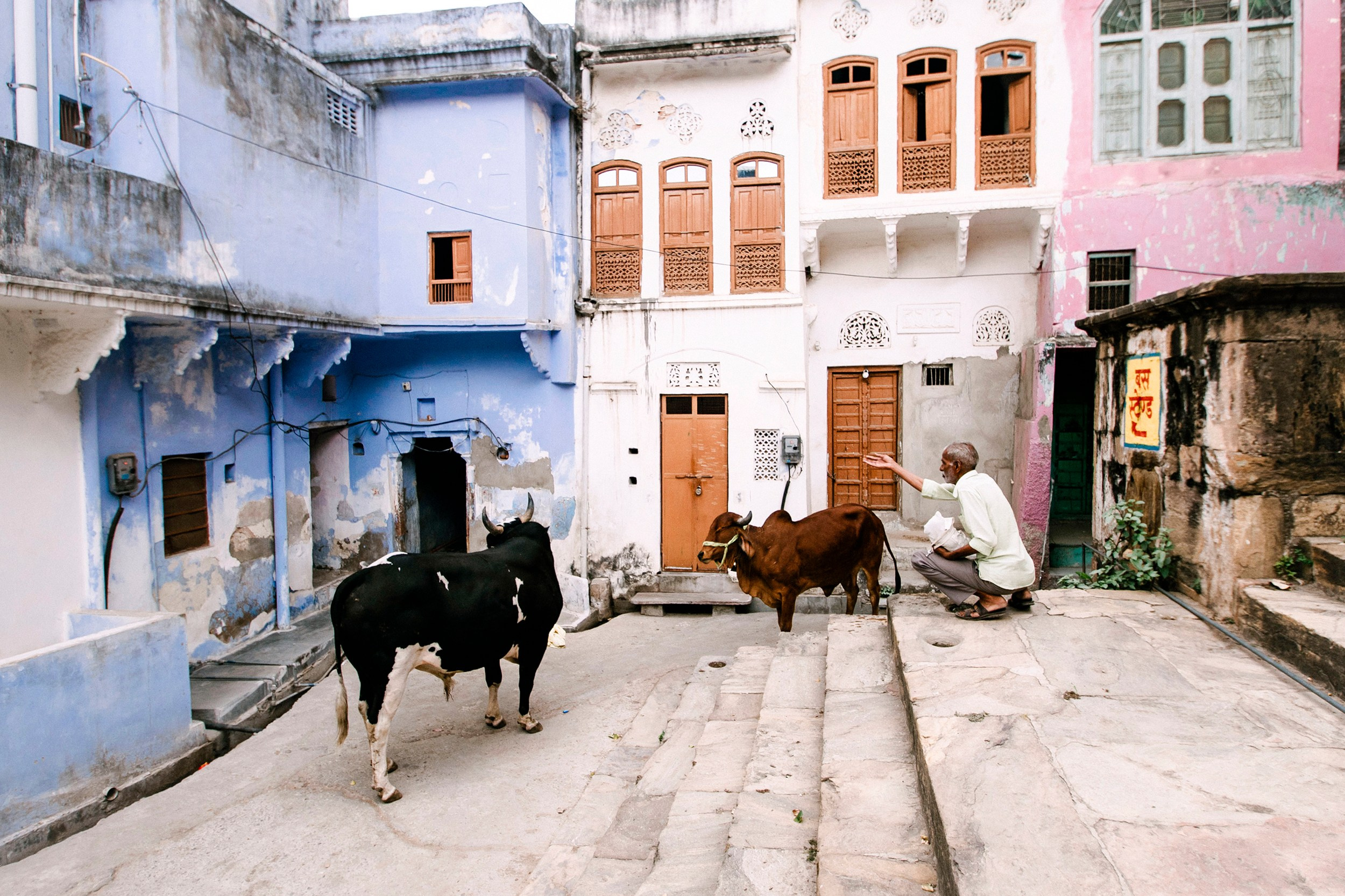Pushkar street. Iraogo
