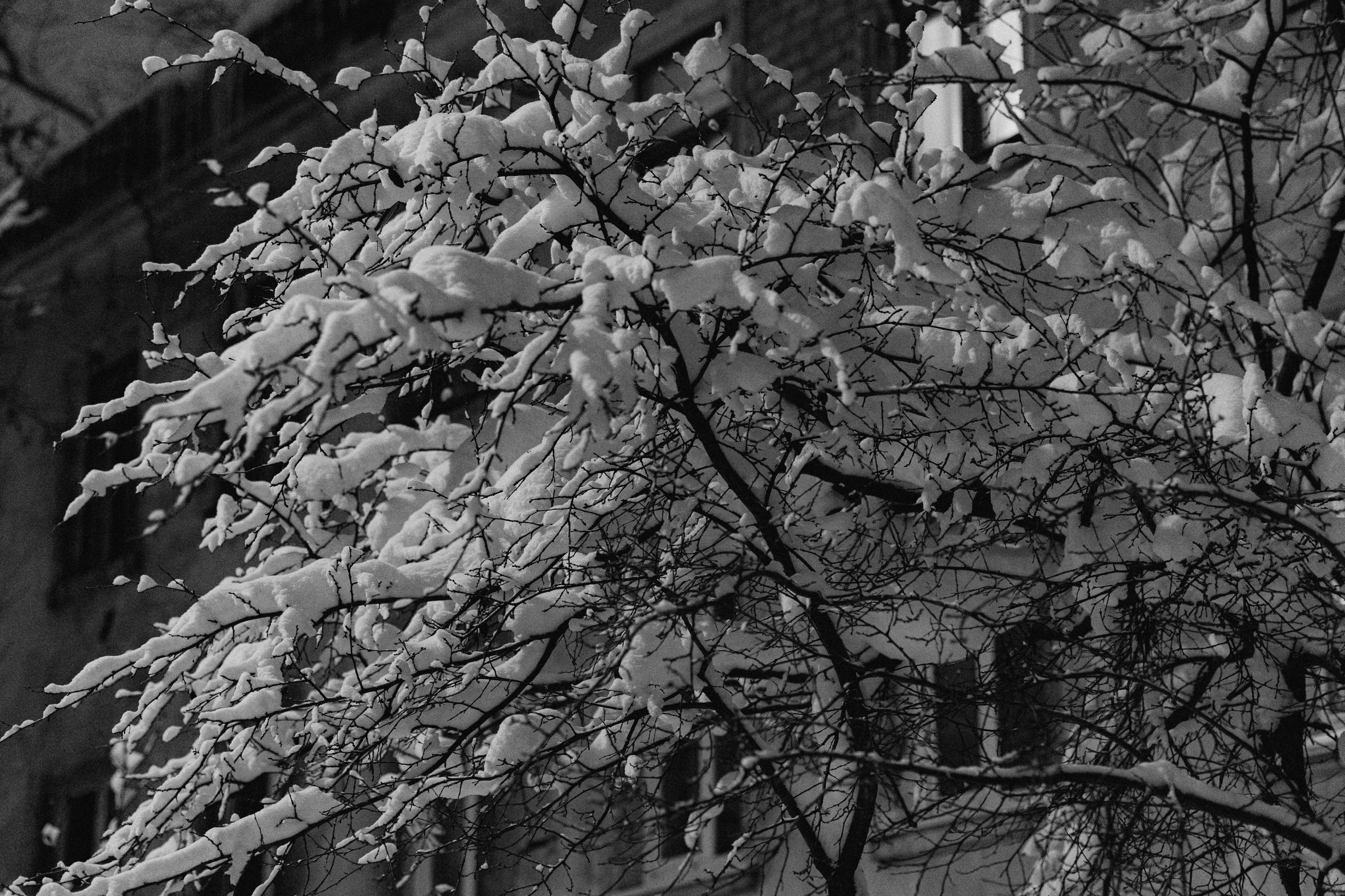 Город зимой. Фотограф Эльмира Лин