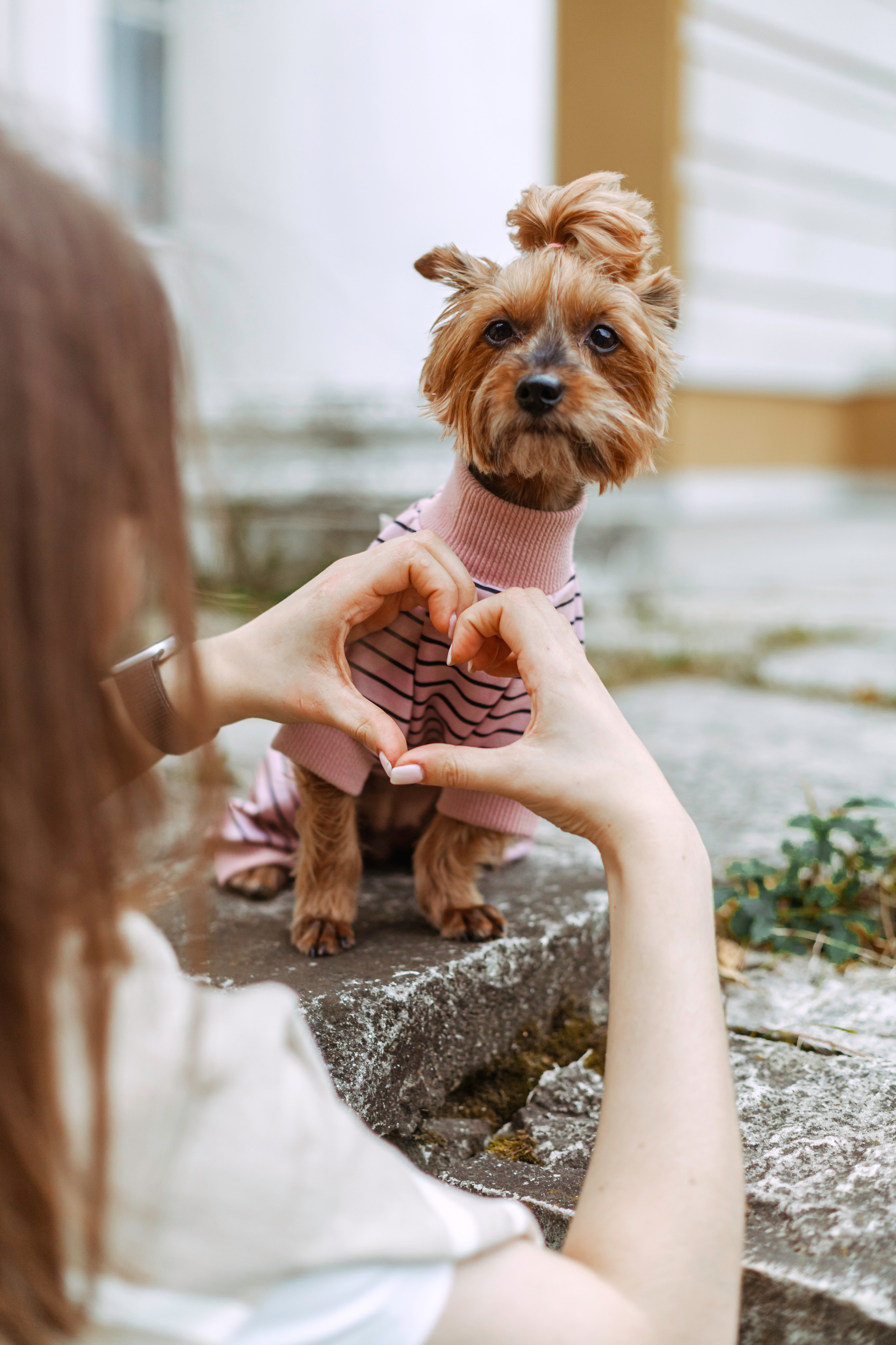 Катя и Моня. Фотограф-анималист Татьяна Степанова