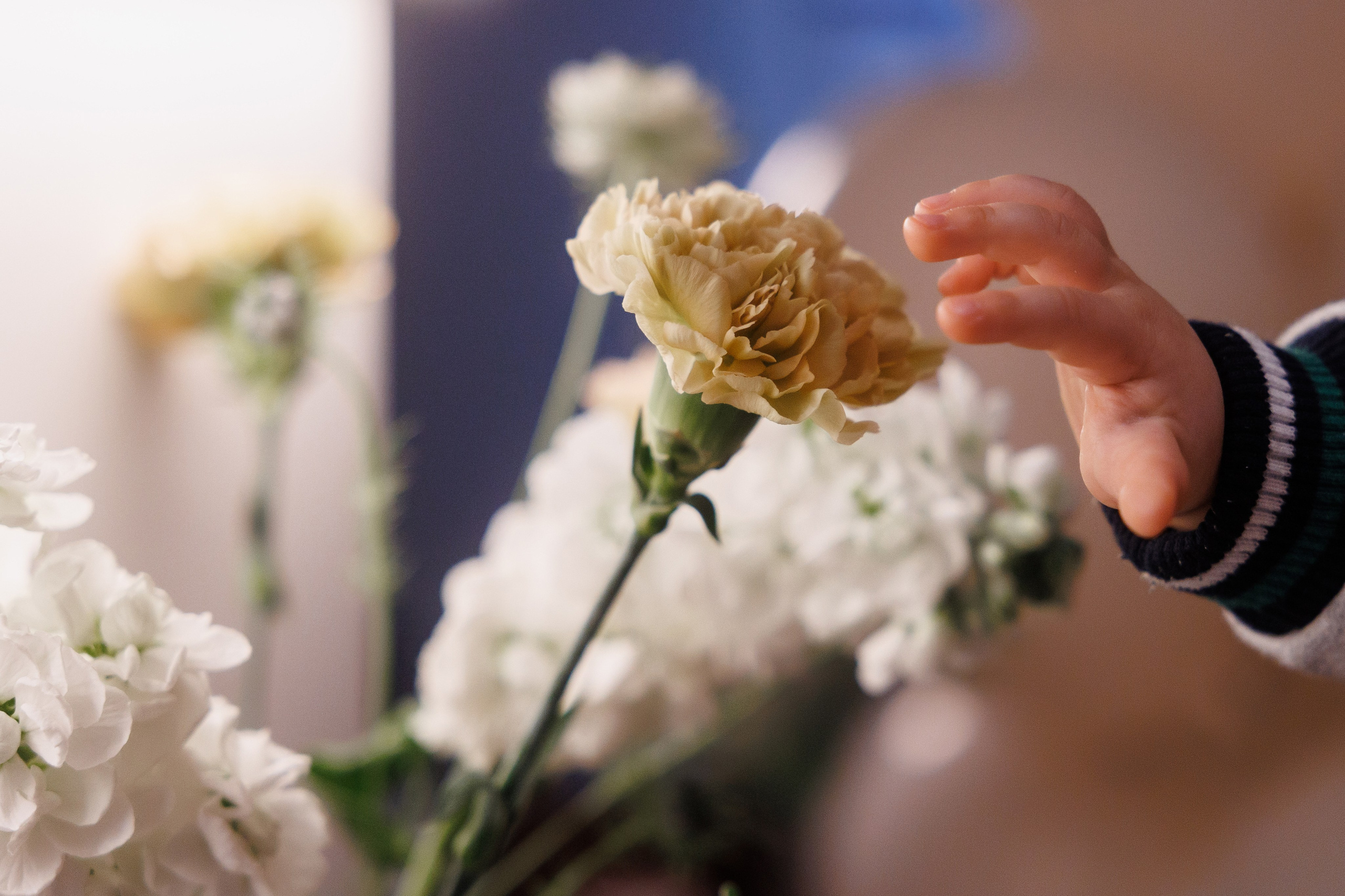 Balance Coffee Открытие. Фотограф Ставрополь Петр Голубенко