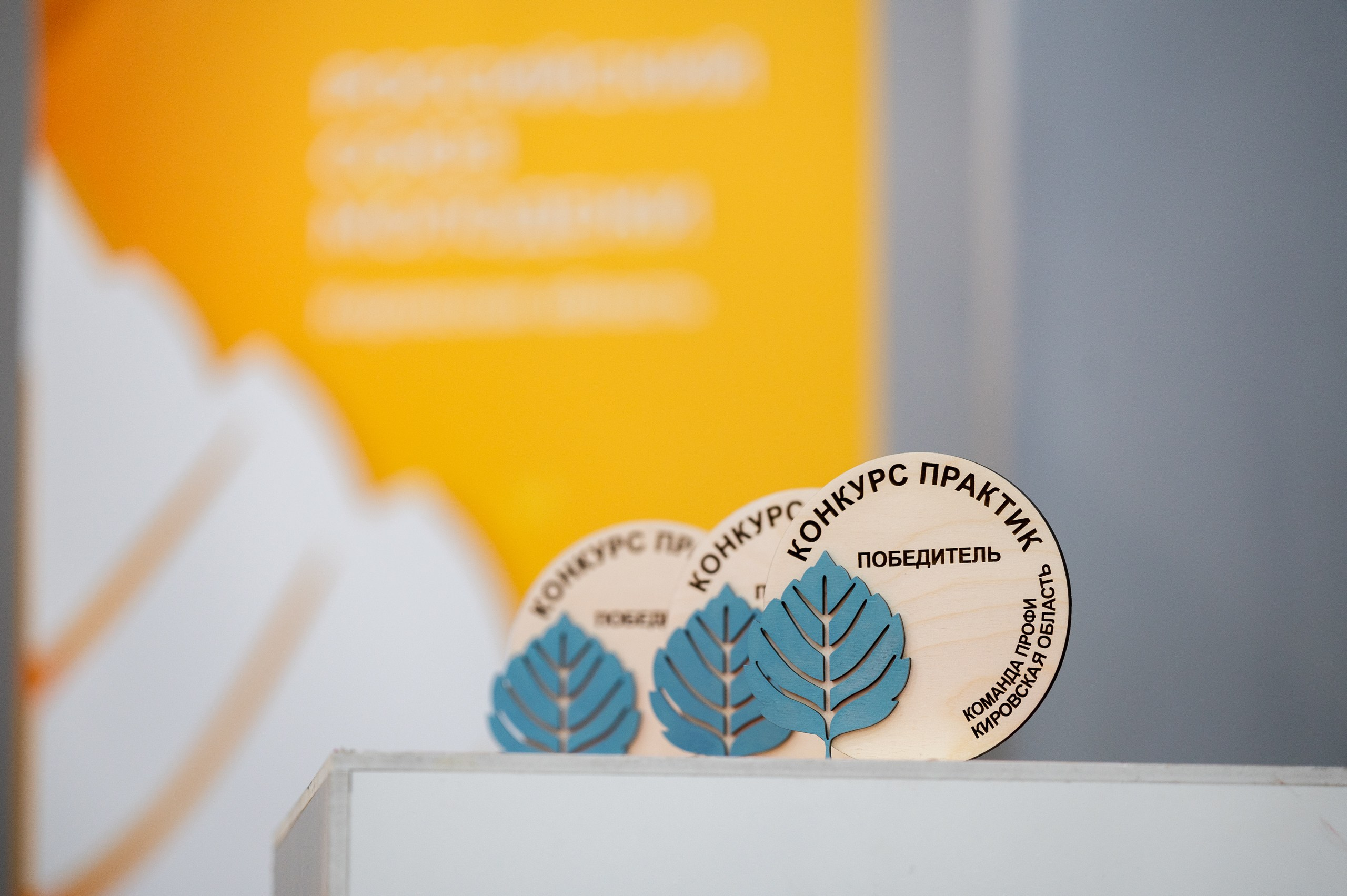 Слёт «Команда ПРОФИ». Репортажный фотограф в Кирове Александр Лутошкин