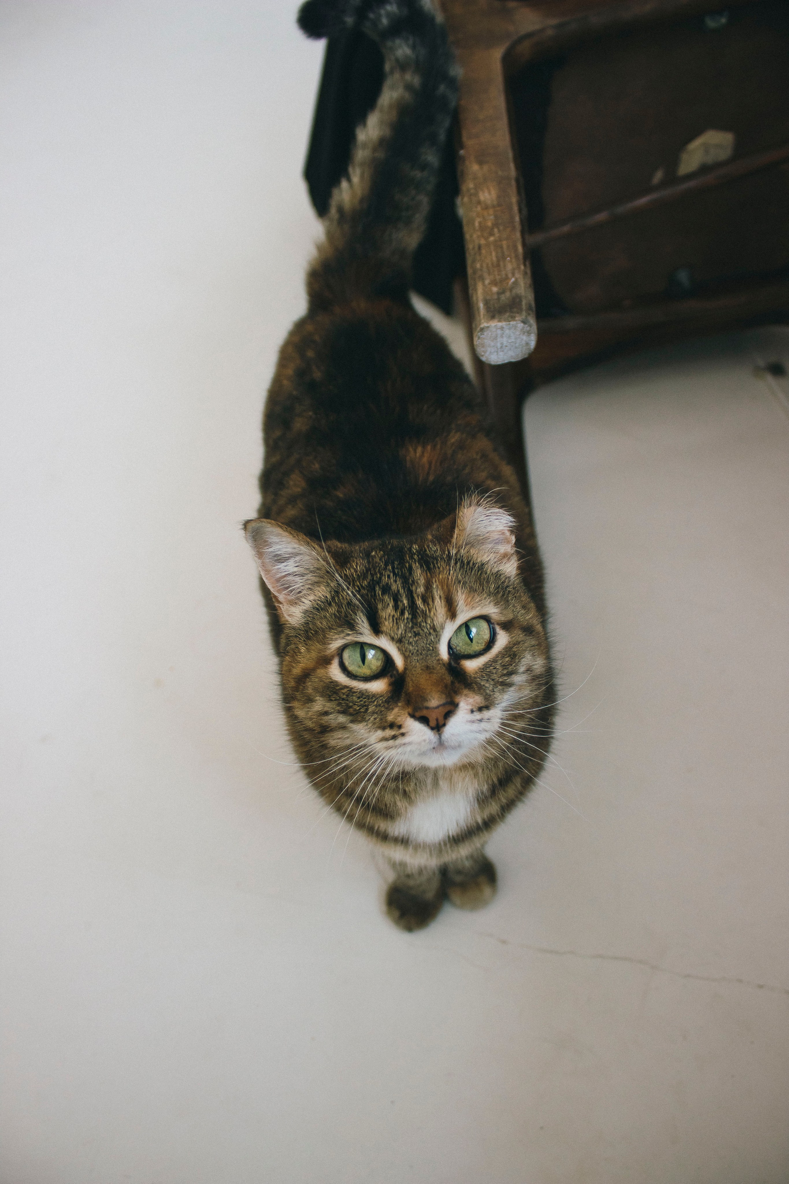 Annie. Фотограф Димитровград Казань Валерия Владимиркина