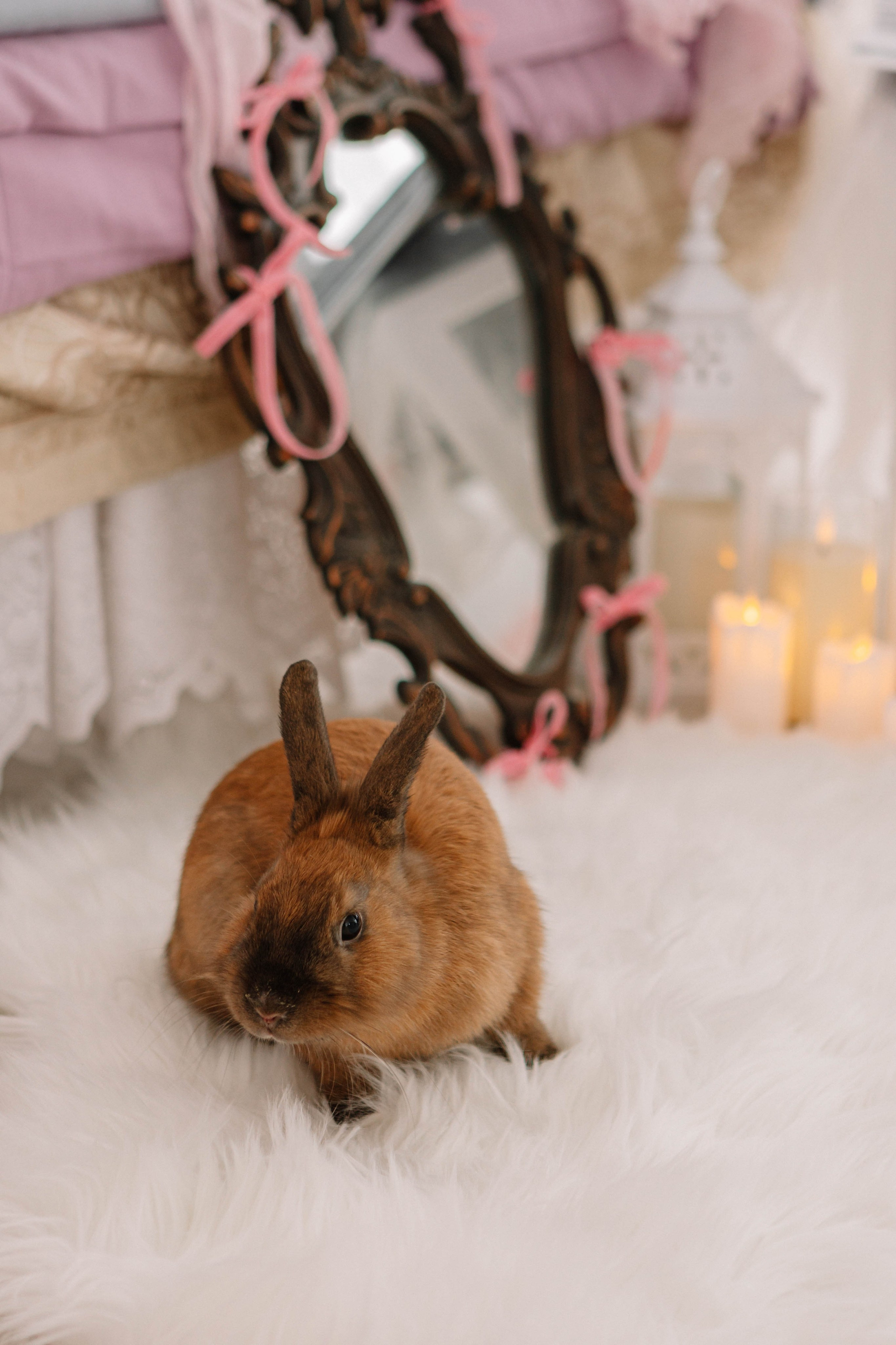 Лина. Фотограф Александра Кузнецова