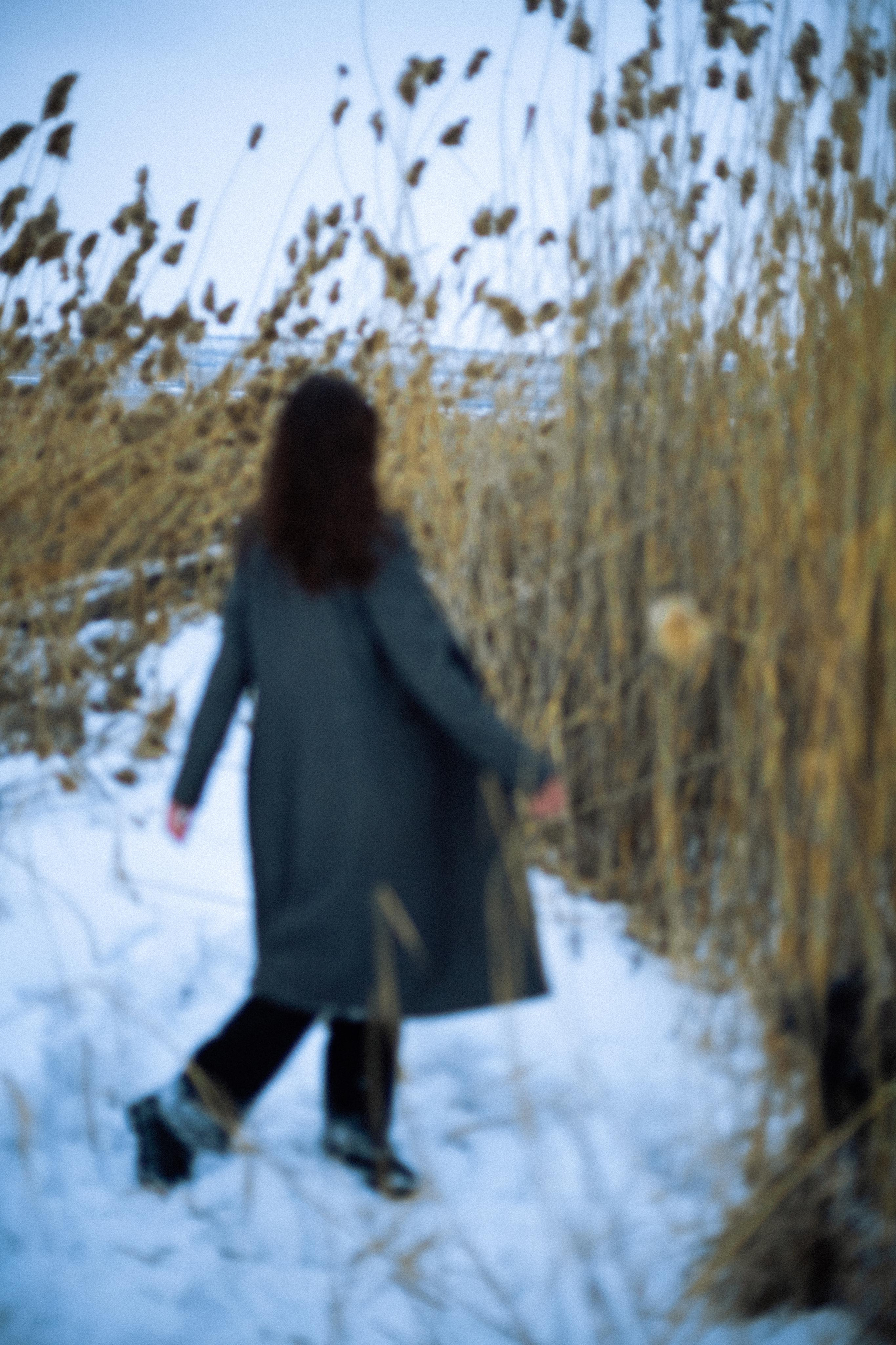 Фотосессия в камышах. Портретный и семейный фотограф в Саратове Елена Шустова