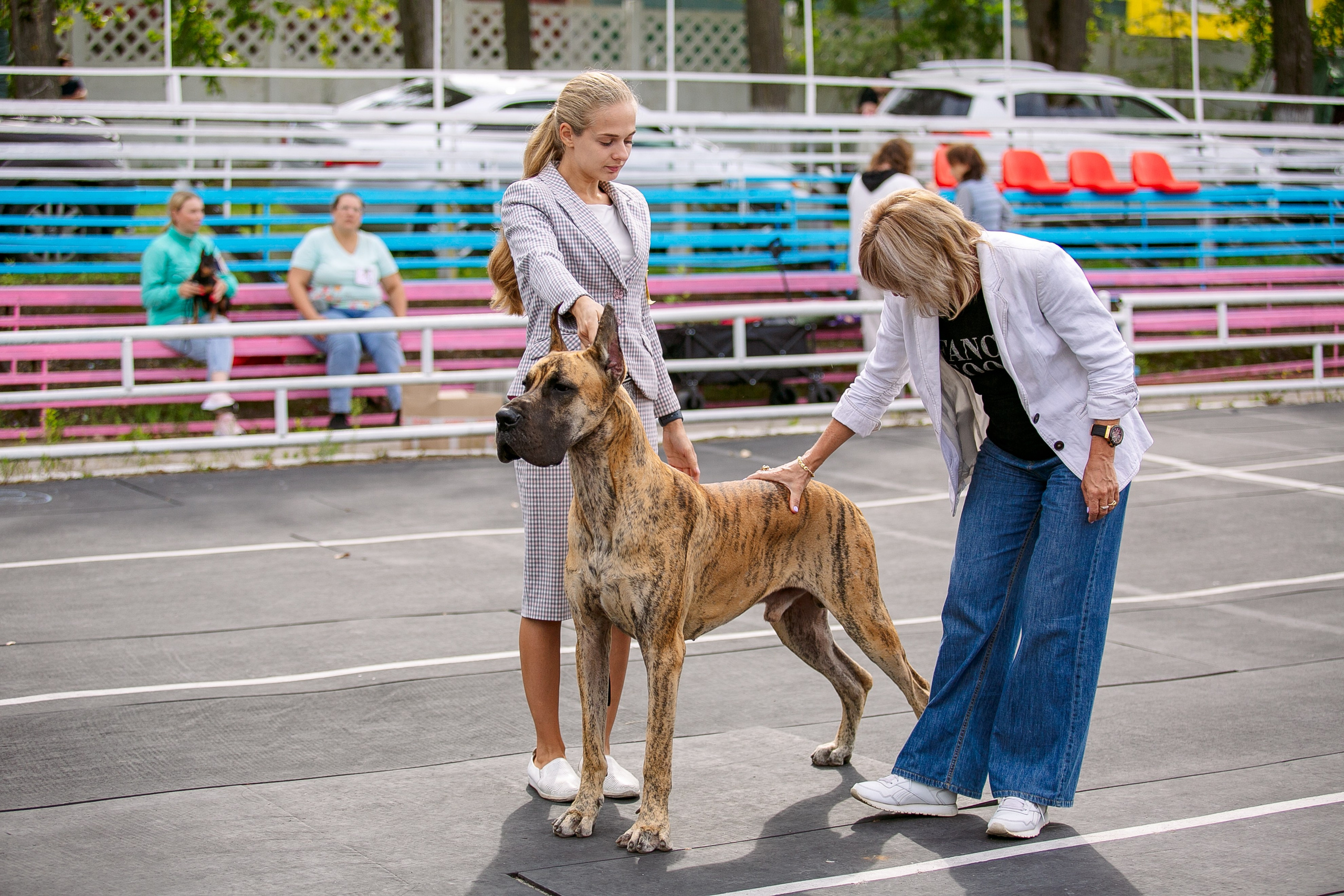 Окунулась вновь в атмосферу выставки…. Школьный фотограф в Туле Светлана Привезенцева