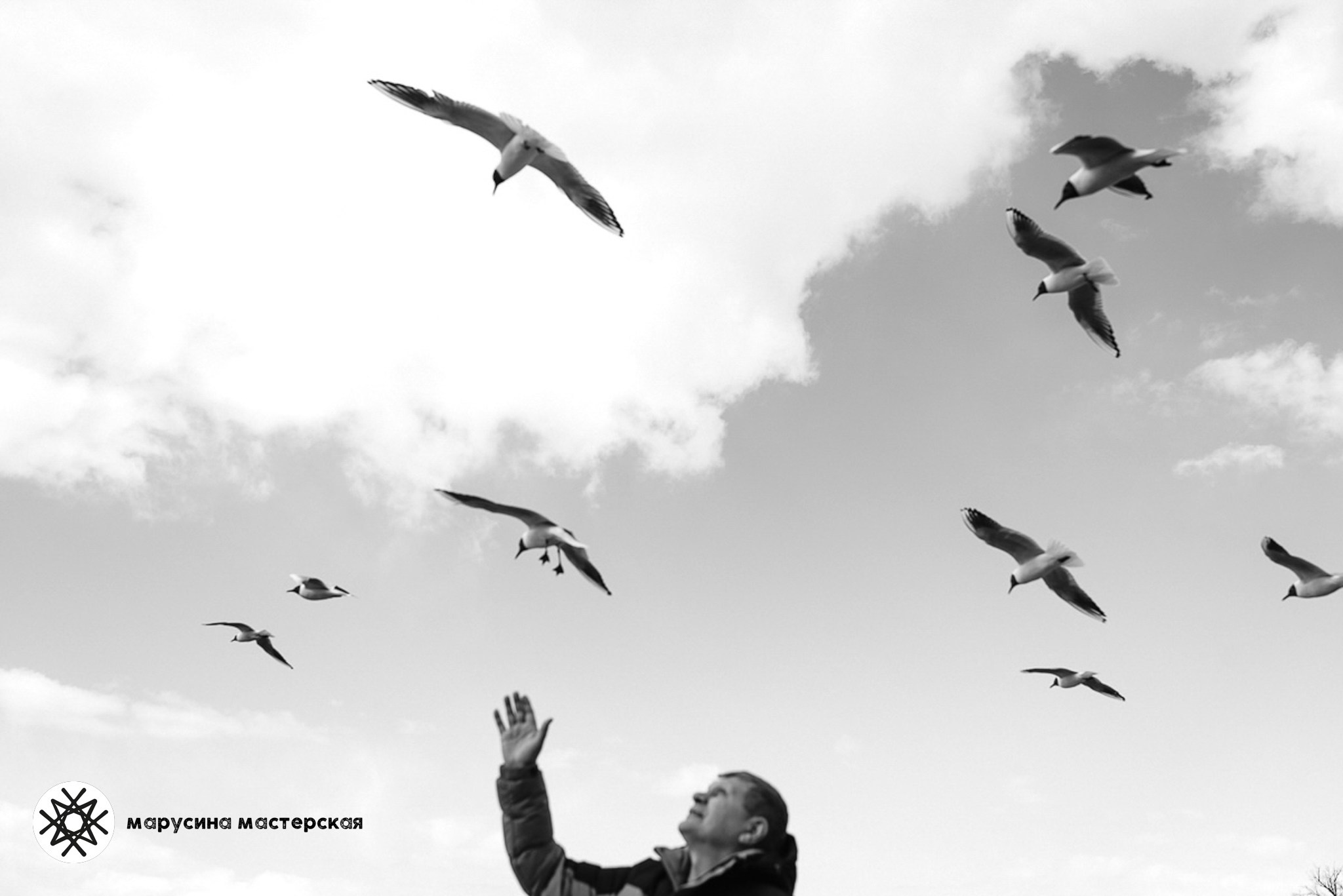 работа ученика практикума «Экспериментальная композиция» Марии Михайловой