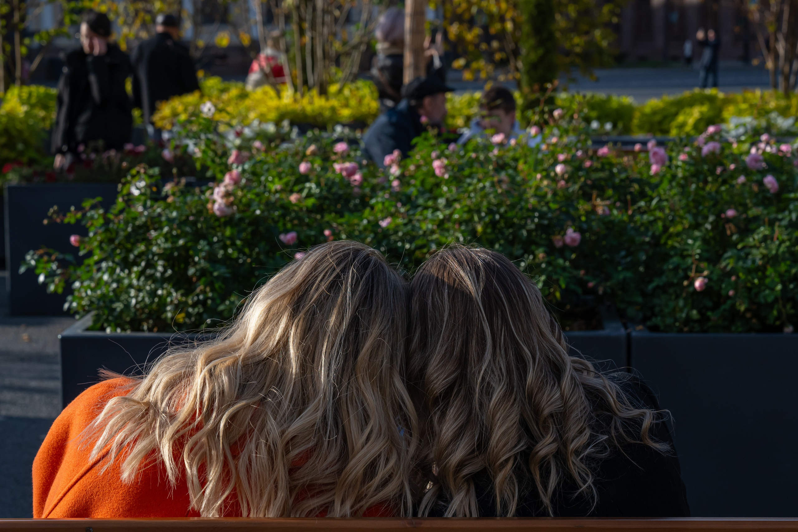 Dimitri Bakhtadze, street photos. Dimitri Bakhtadze photographer