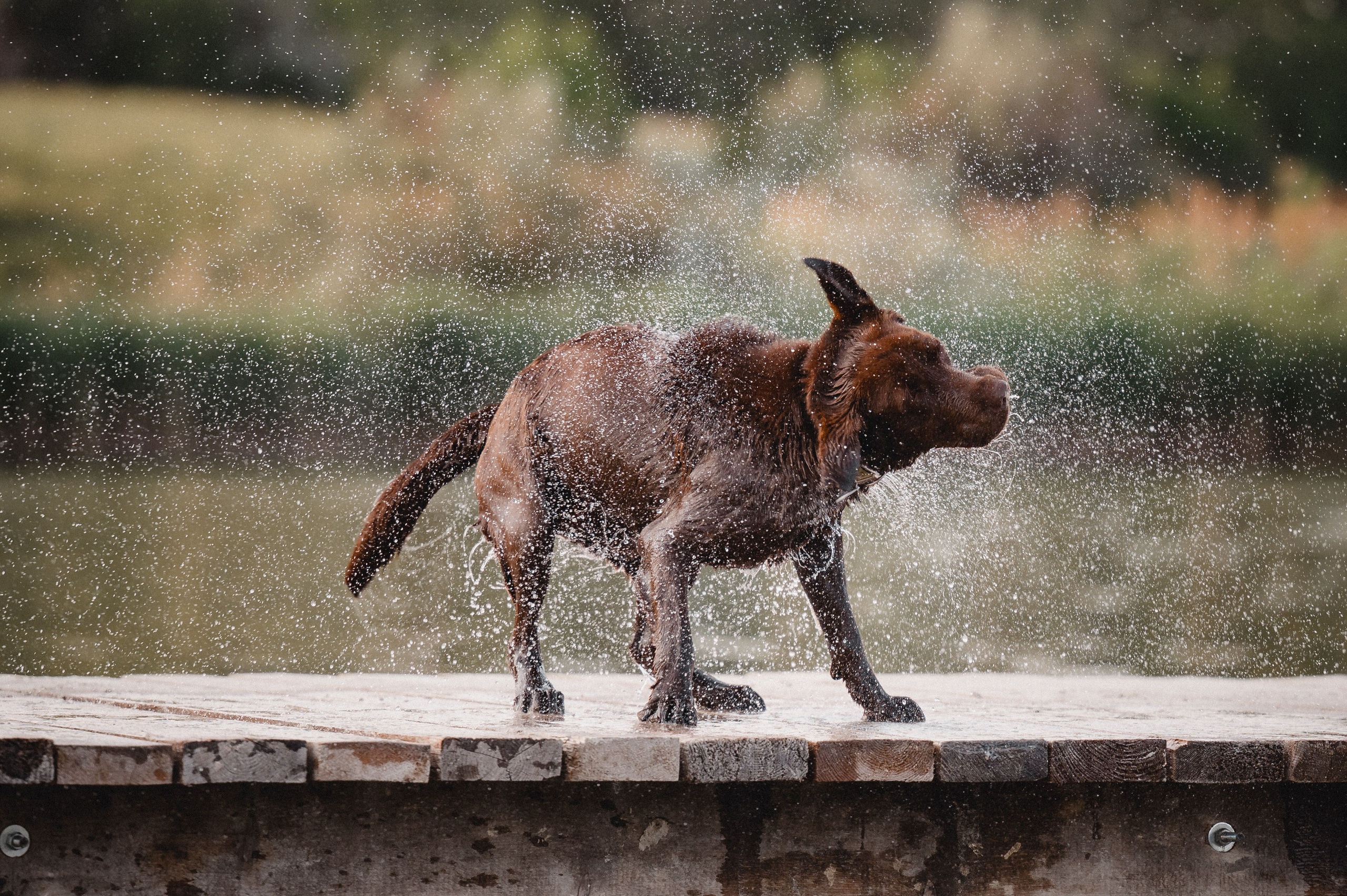 Анечка и Дэя. Фотограф в Ростове —на — Дону