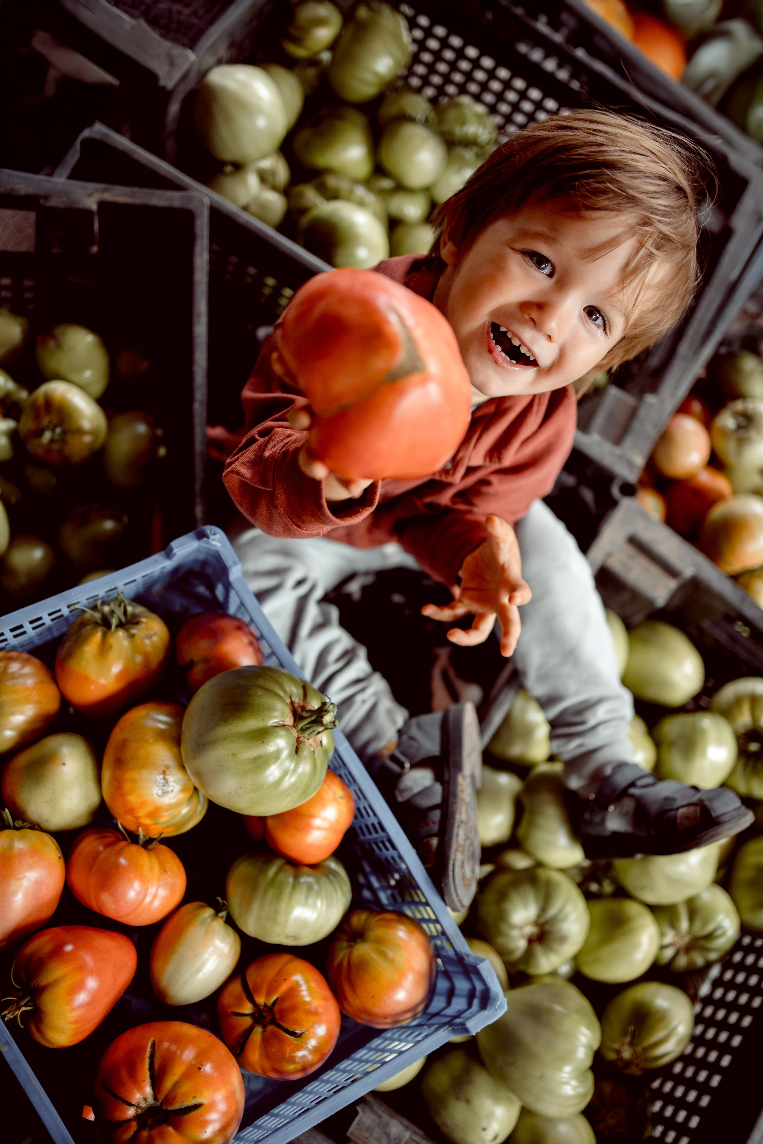 Галерея работ. Семейный и детский фотограф Рядчикова Екатерина Москва