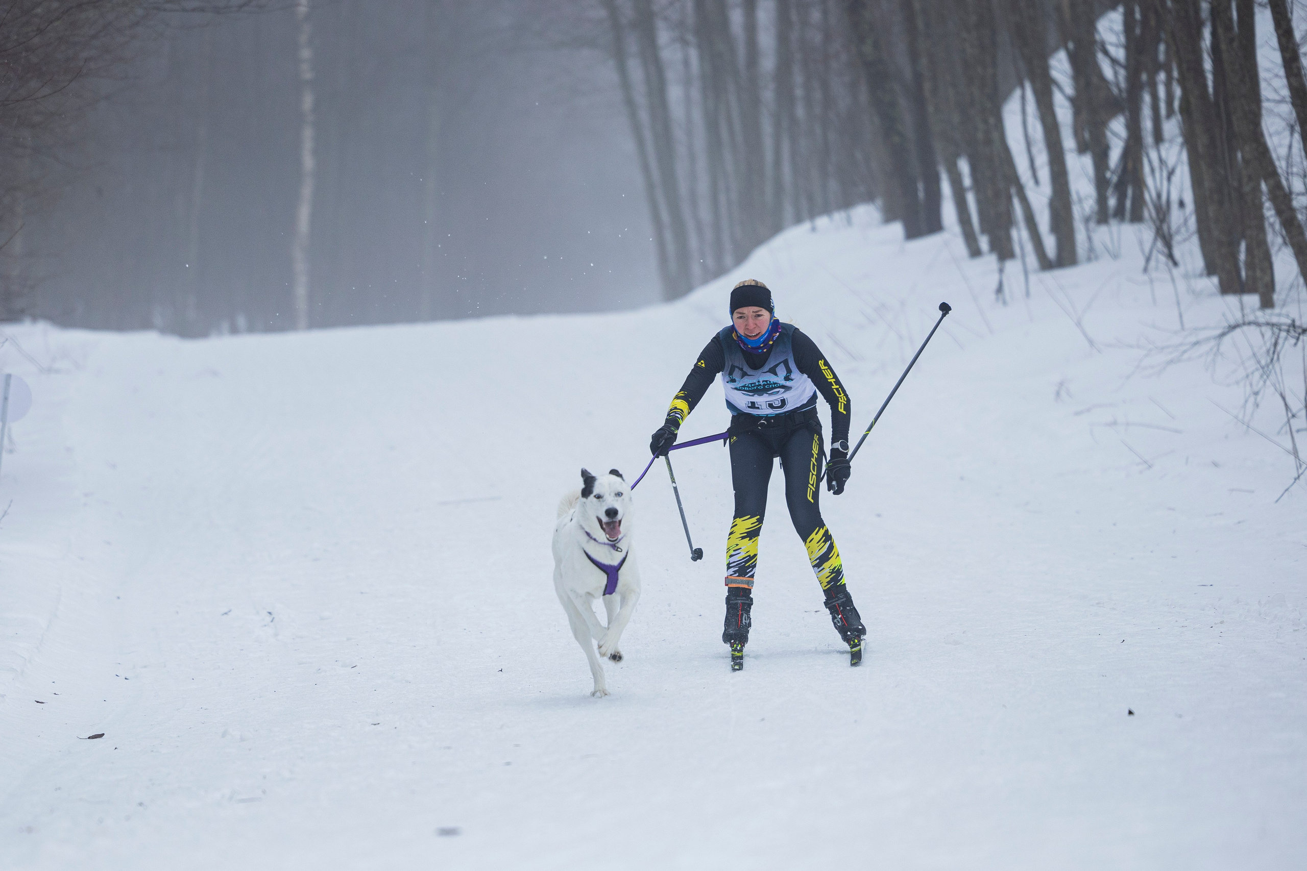 Зимний Чемпионат Санкт-Петербурга по ездовому спорту. Фотограф-анималист Анна Маринич