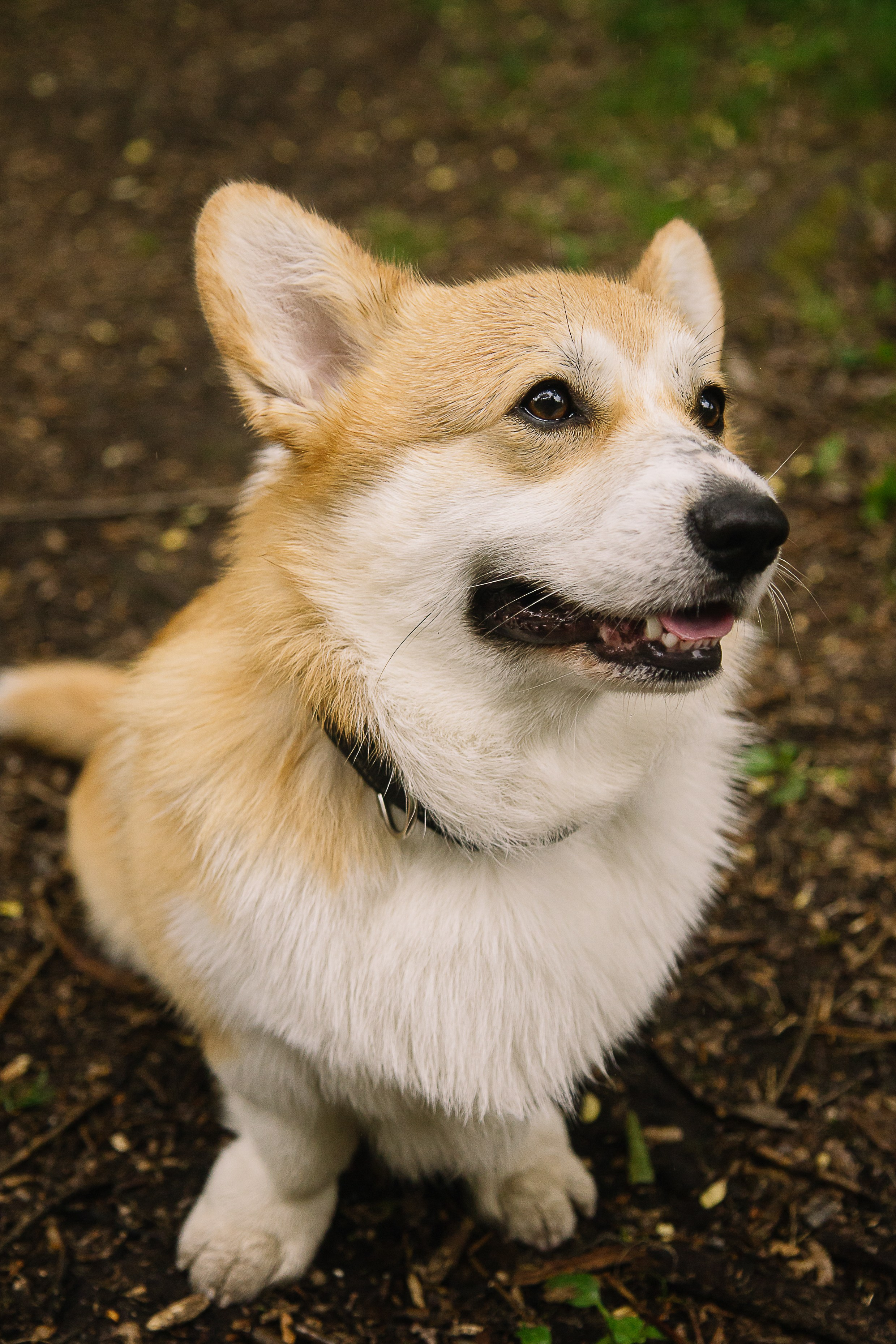 Летняя прогулка в Ботаническом саду. Семейный фотограф в Томске Максимова Екатерина