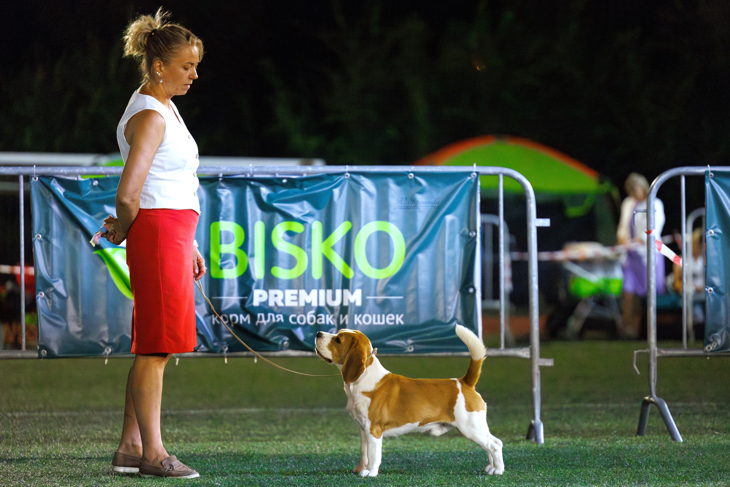 Волгоград 2-4.08.2024. Фотограф-анималист Юлия Германика