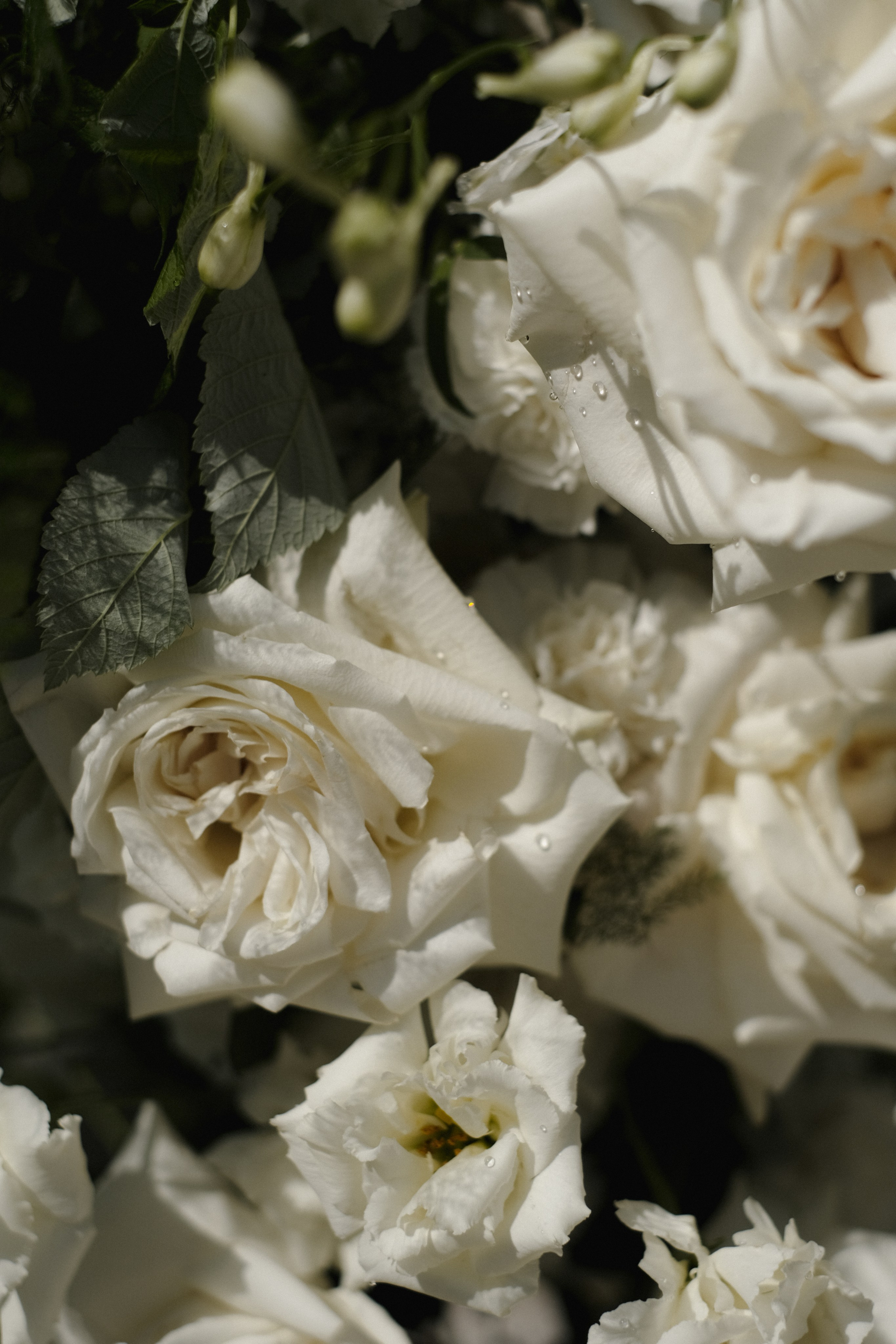 Шахноза и Мурад. Селиванова Виктория свадебный фотограф