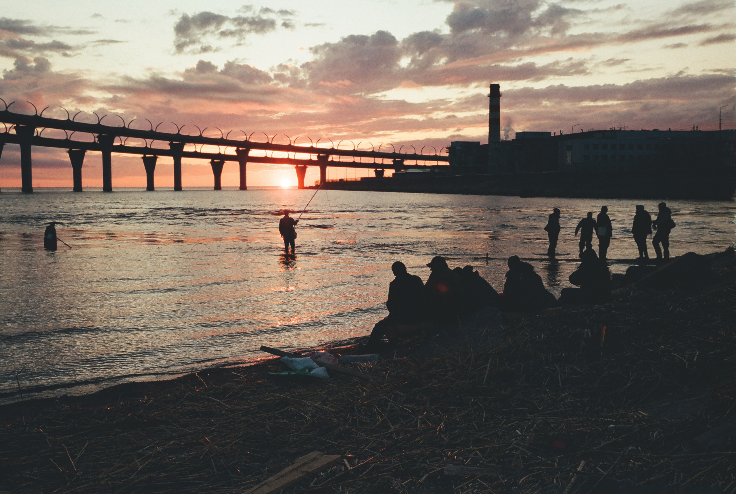 Фотографии цветные. Свадебный и семейный пленочный фотограф в Петербурге Истомина Ирина