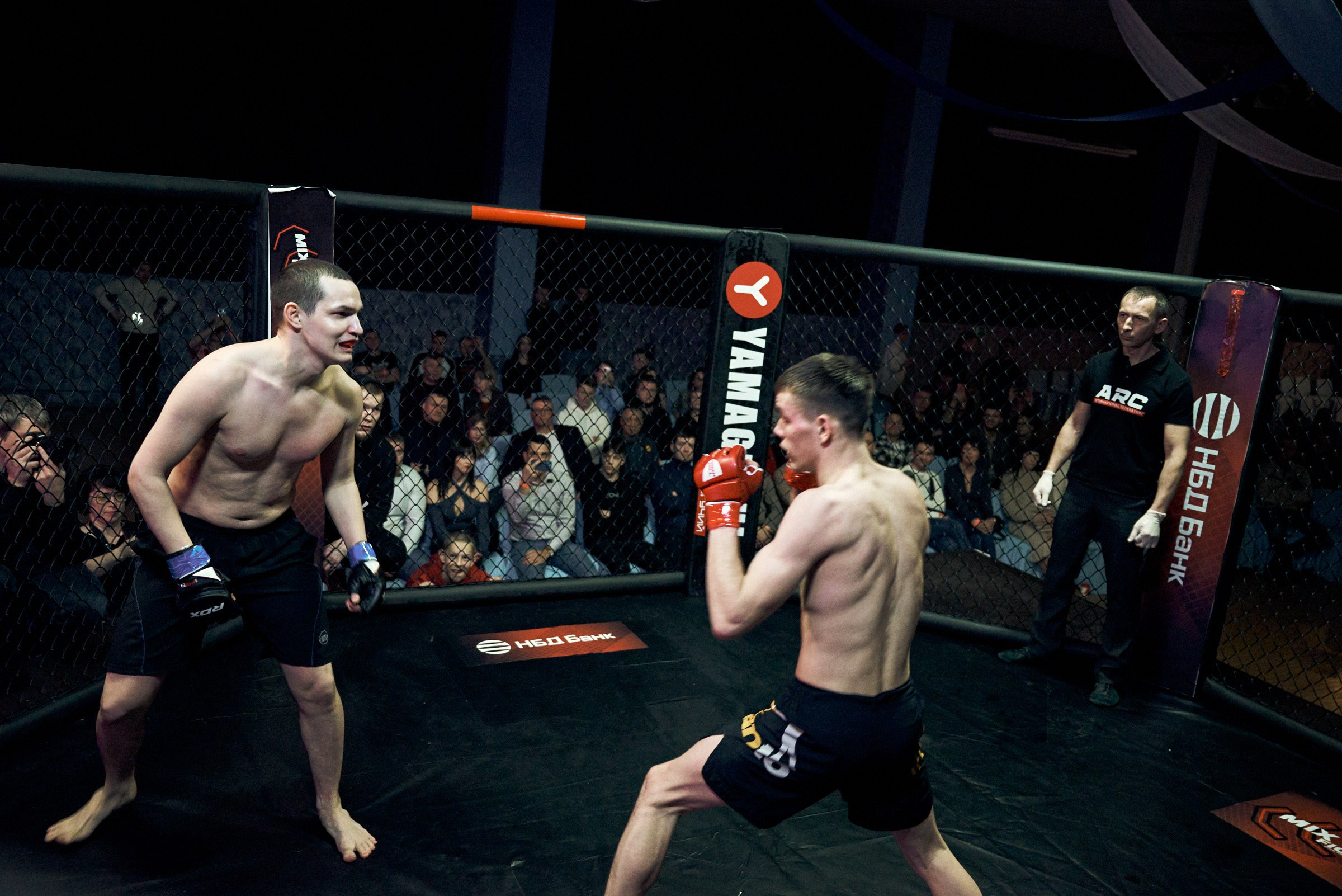 Бои. Маляревич Дмитрий свадебный фотограф