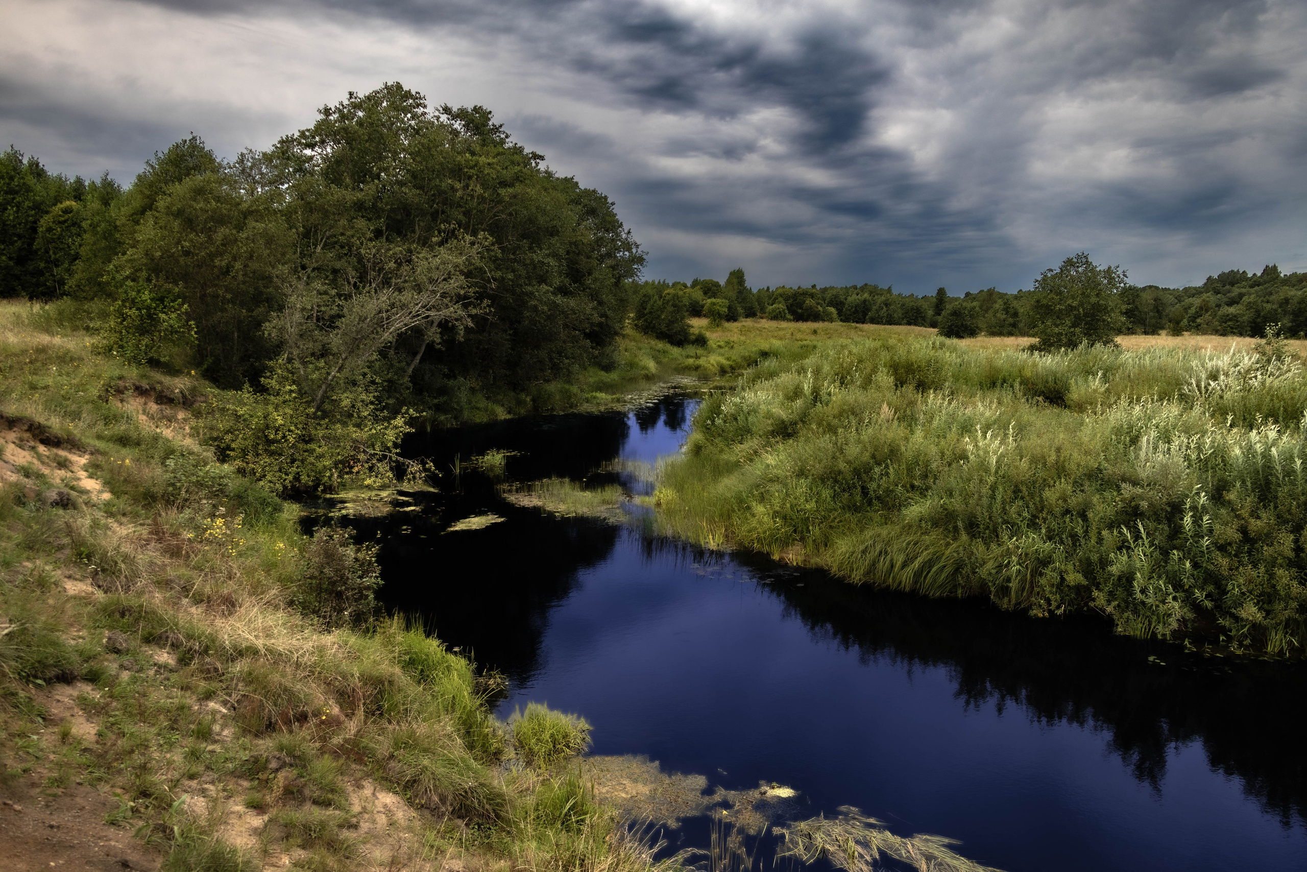 ПЛАНЕТА ЗЕМЛЯ (пейзаж). АЛЕКСЕЙ КОЛМАКОВ. Фотограф. Москва и Московская область