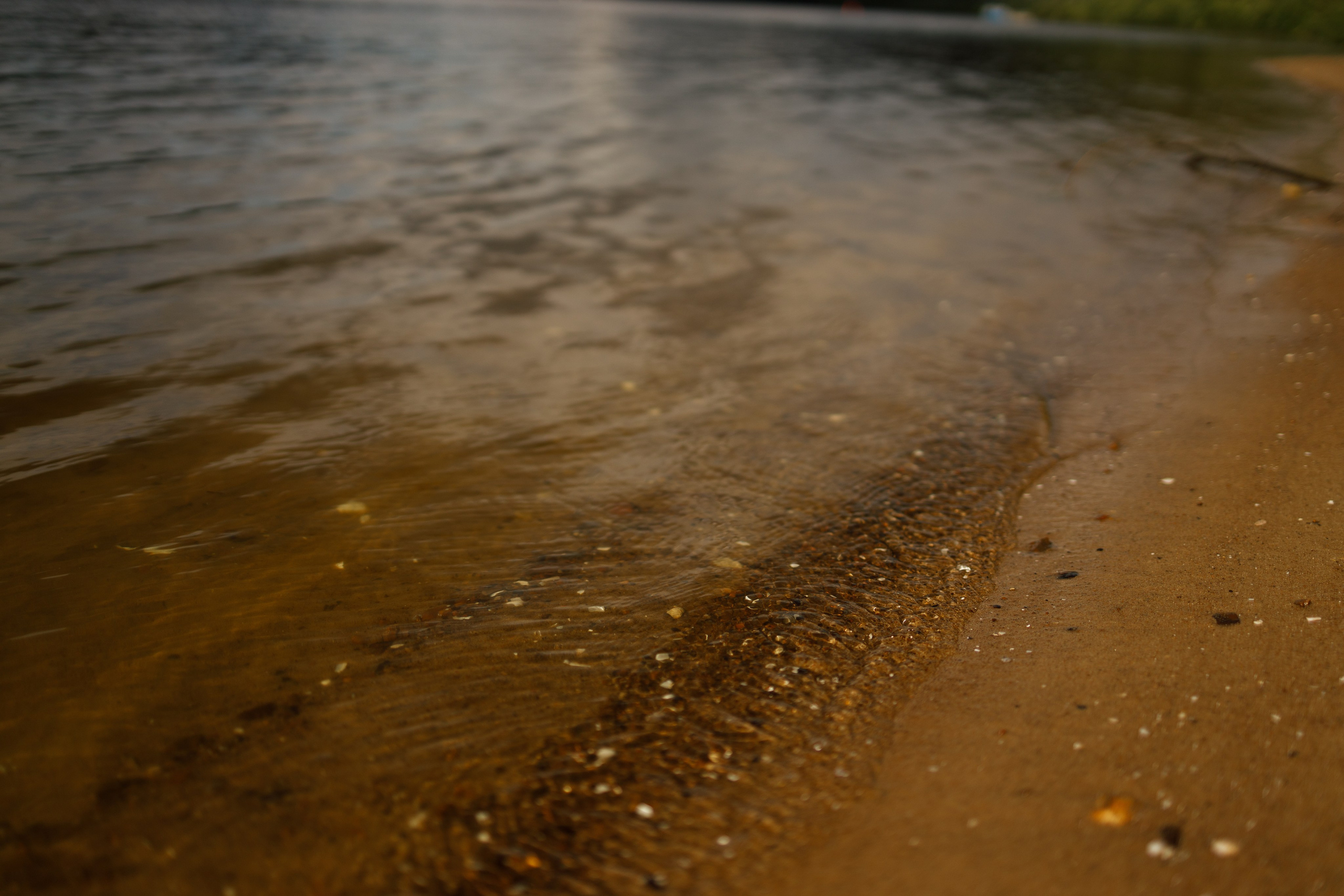 Поленово. Свадебный и семейный фотограф в Туле и области Маша Костина