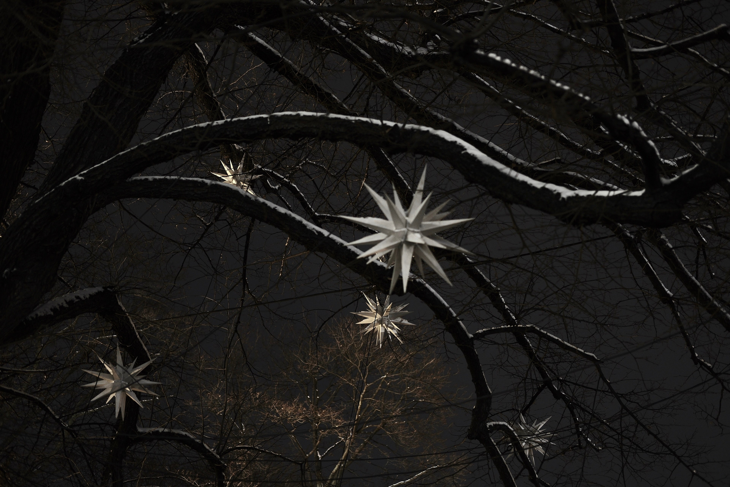 Санкт-Петербург. BELABONKA