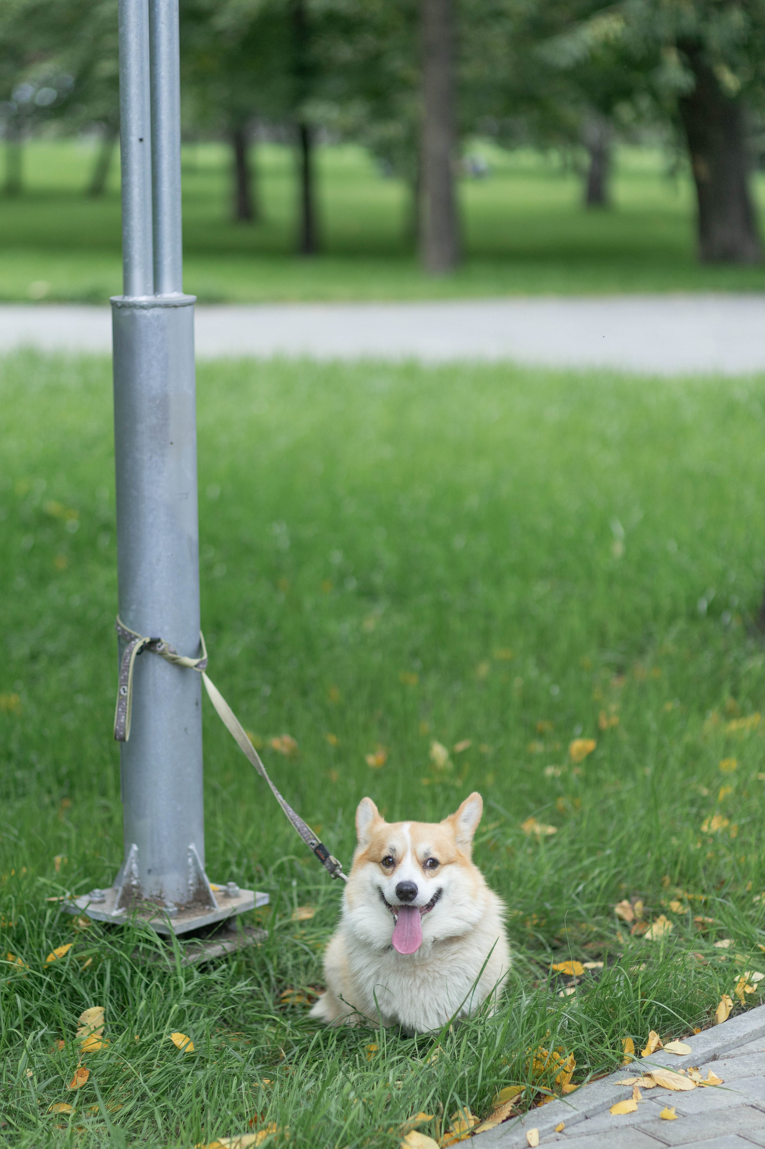 Яна. Семейный и детский фотограф в Челябинске Елена Вышегородцева