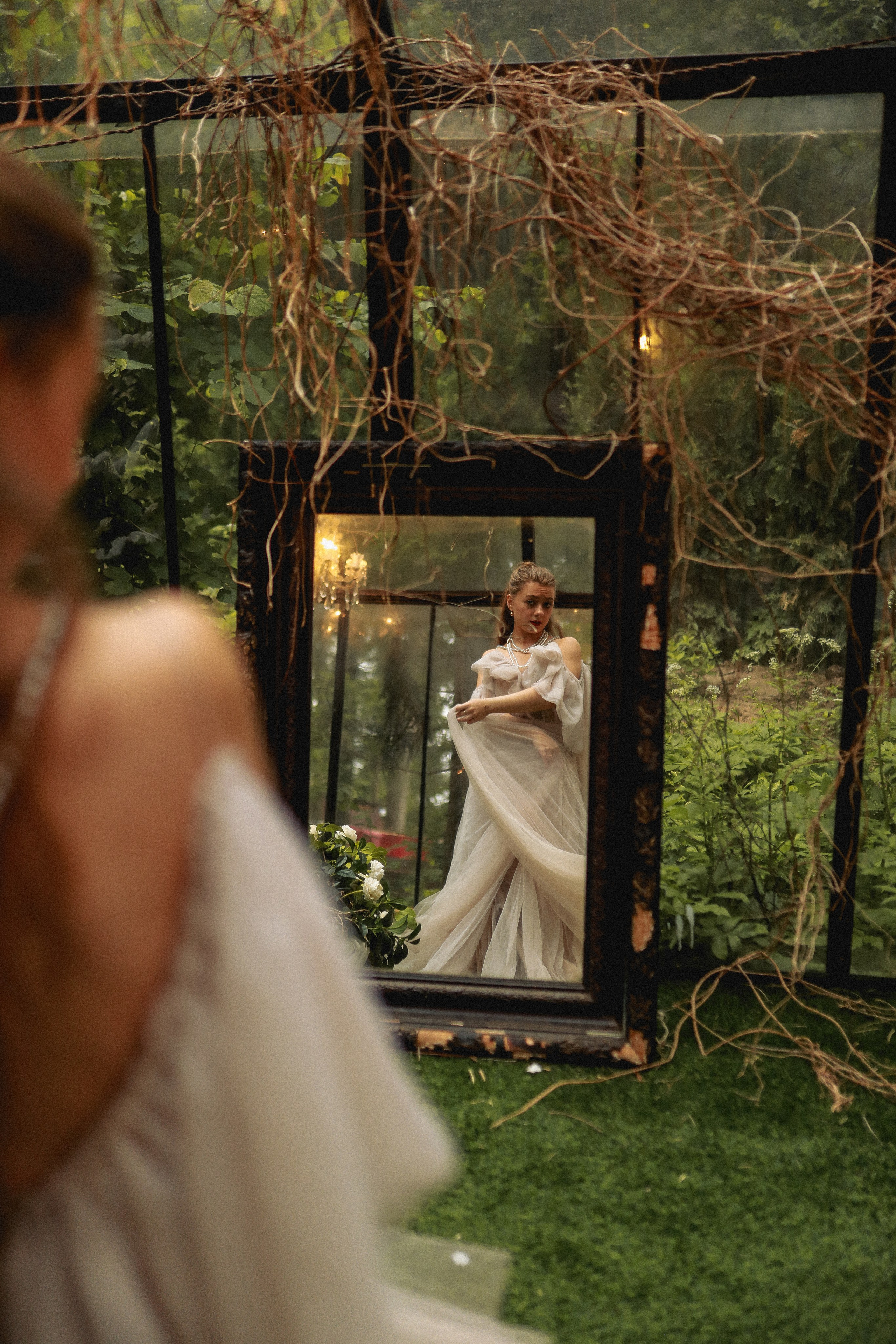 Зачарованный лес